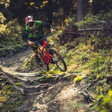 Alpenride Trail im Alpenbikepark Chur