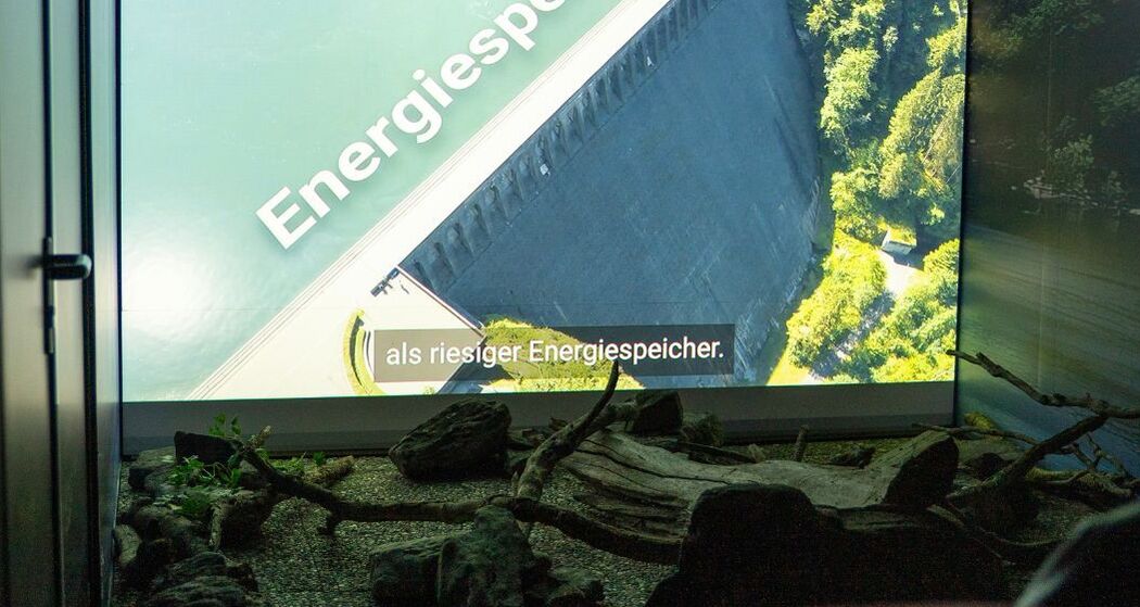 Klimastiftung Grischa (10)