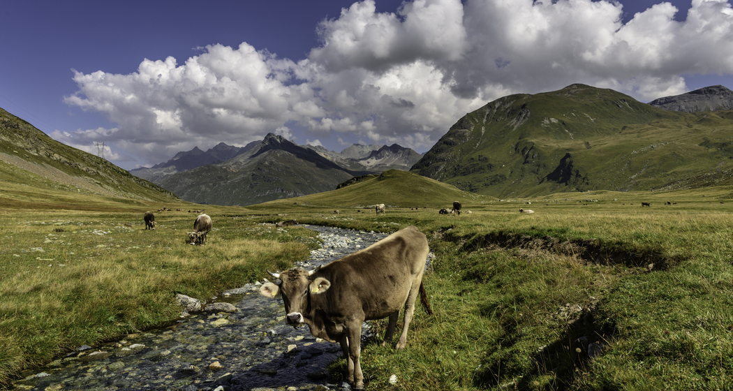 Parc Ela-© Lorenz Andreas Fischer