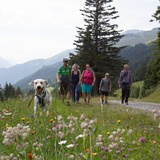 Edelweissrundweg bei Seznis