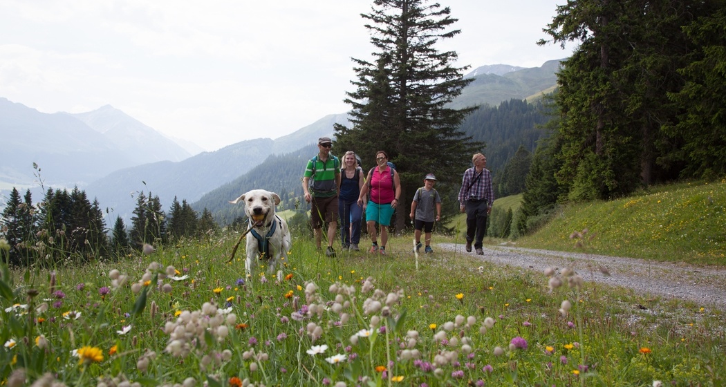 Edelweissrundweg bei Seznis
