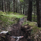 Fürstenflow Royale Superiore