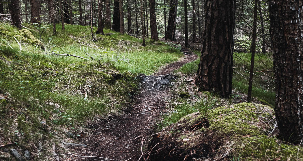 Fürstenflow Royale Superiore