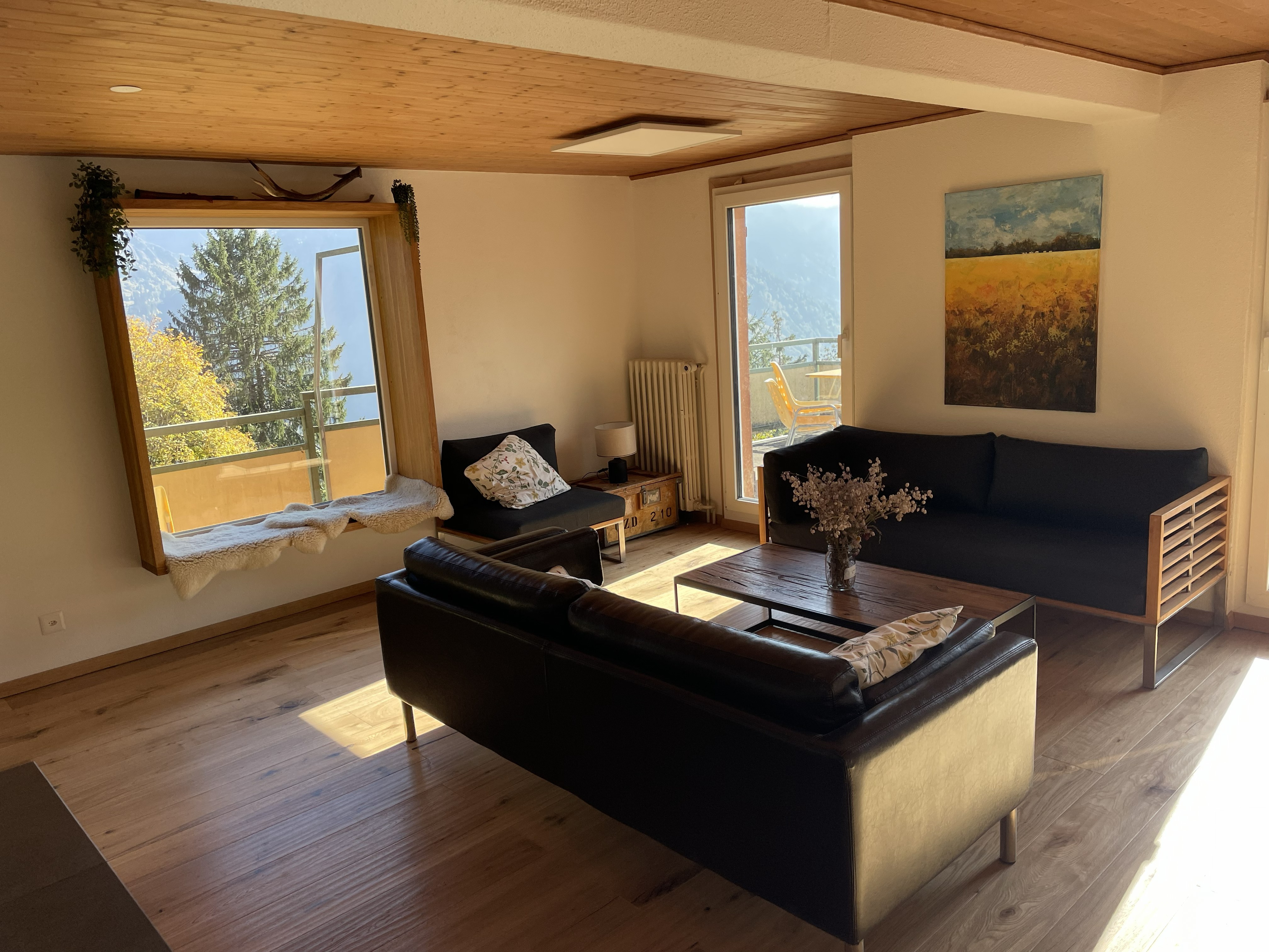 Alpina Ferienhaus, Braunwald, Braunwald