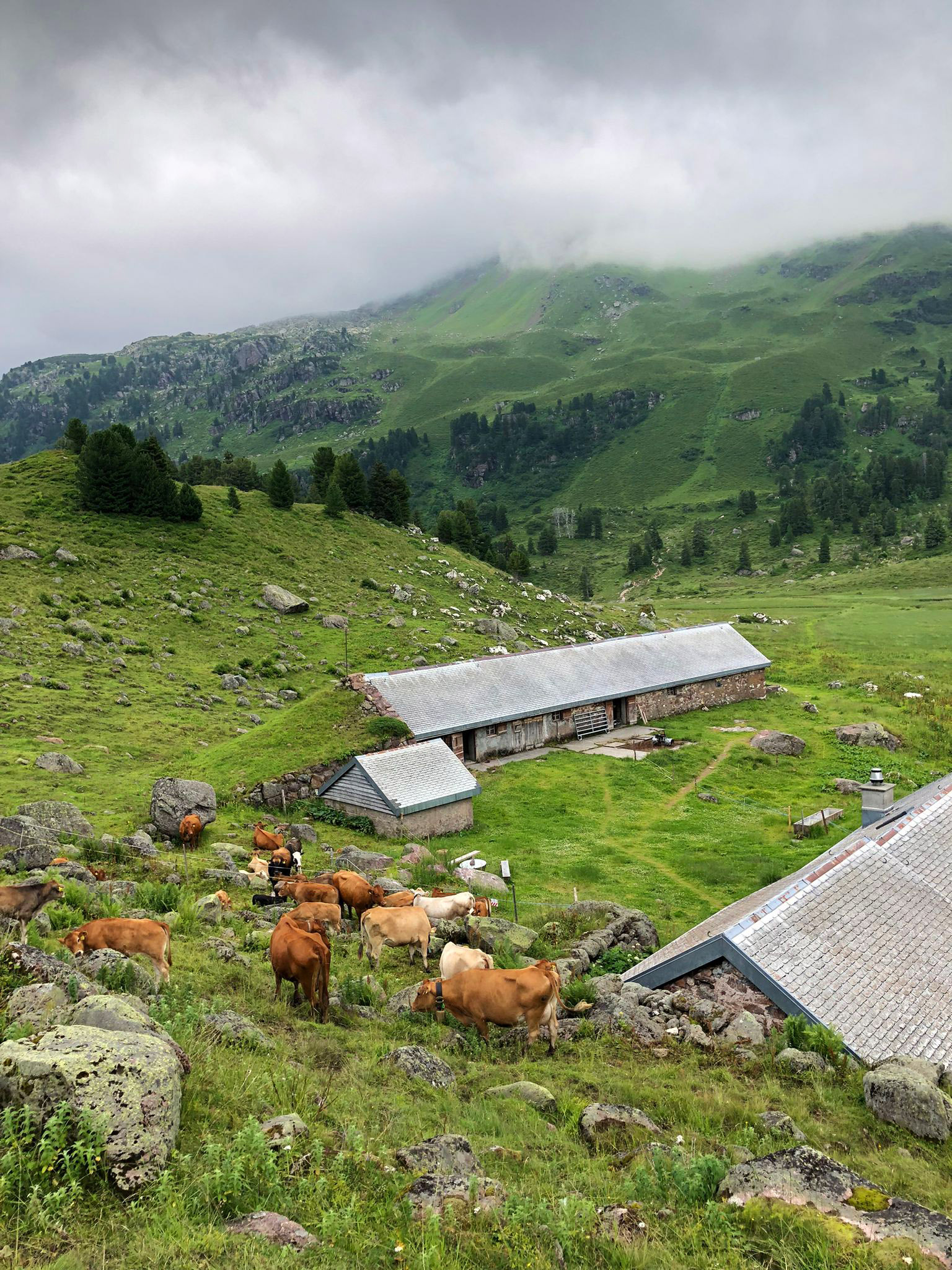 Beizli Alp Mürtschen (ctd_9111ec1_image)