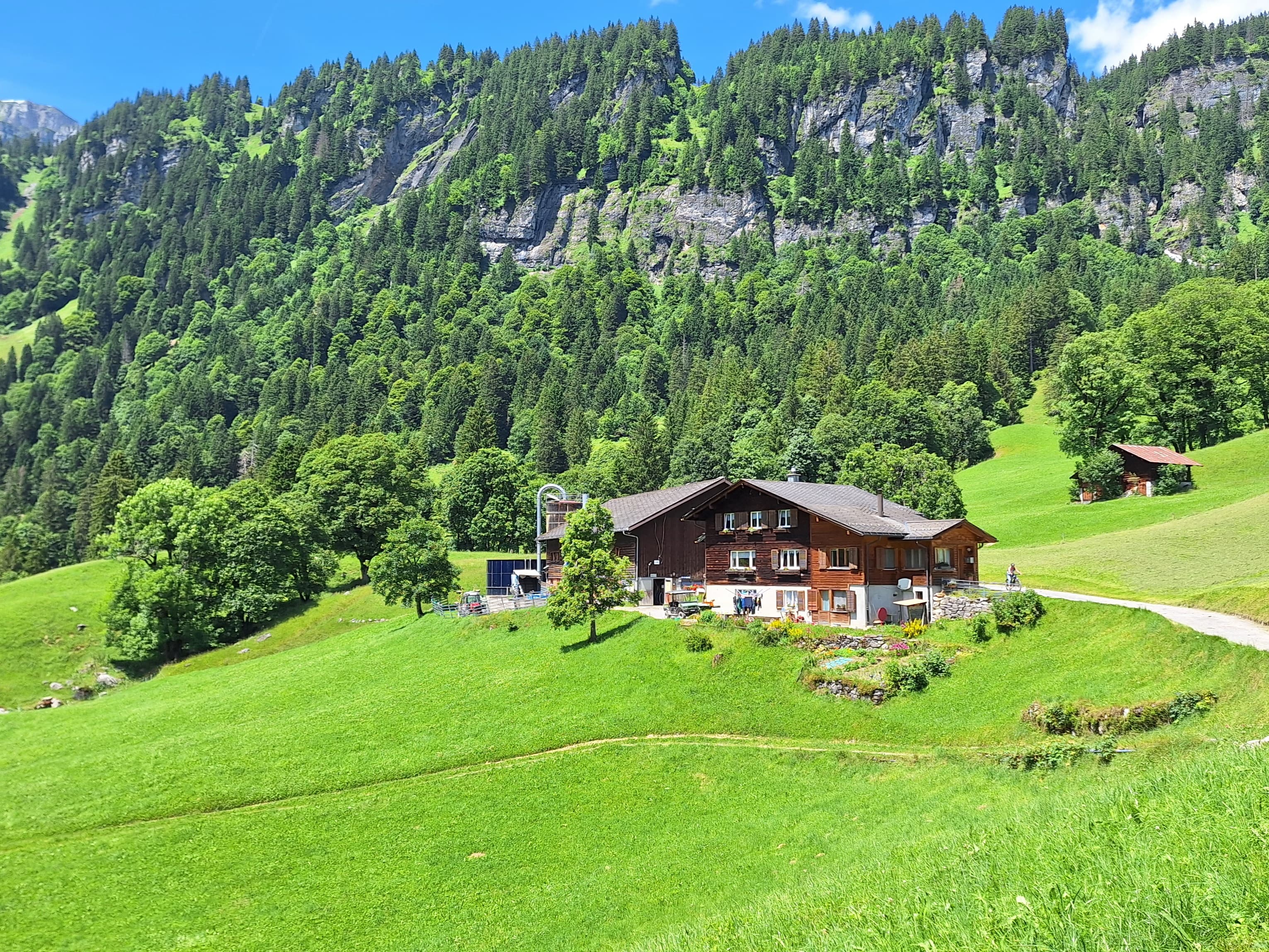 Ferienwohnung Tschudiberg Nr. 205, Braunwald