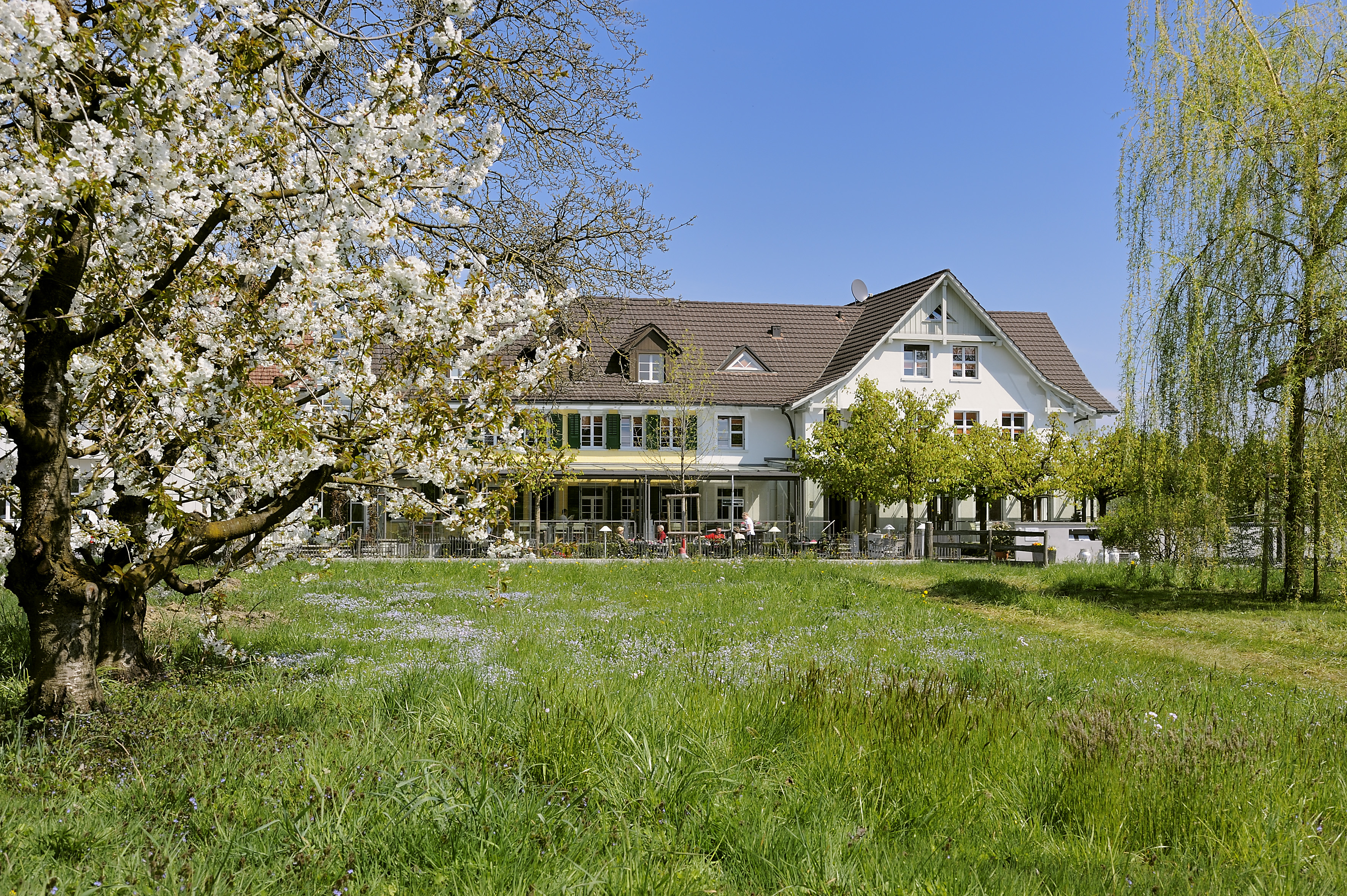 Landgasthof Seelust – image