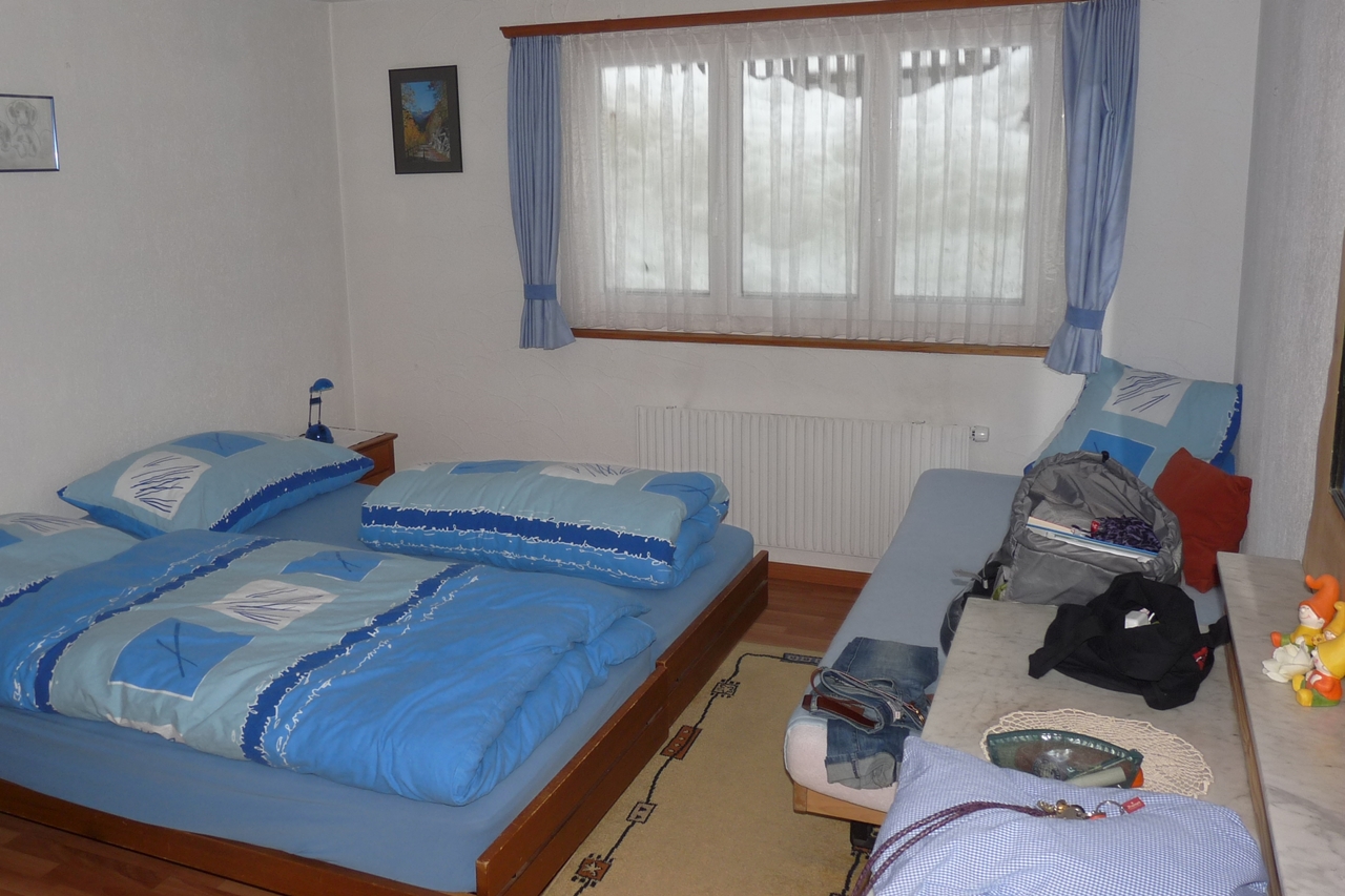 Ferienwohnung Uehli (ctd_b0fd557_image)