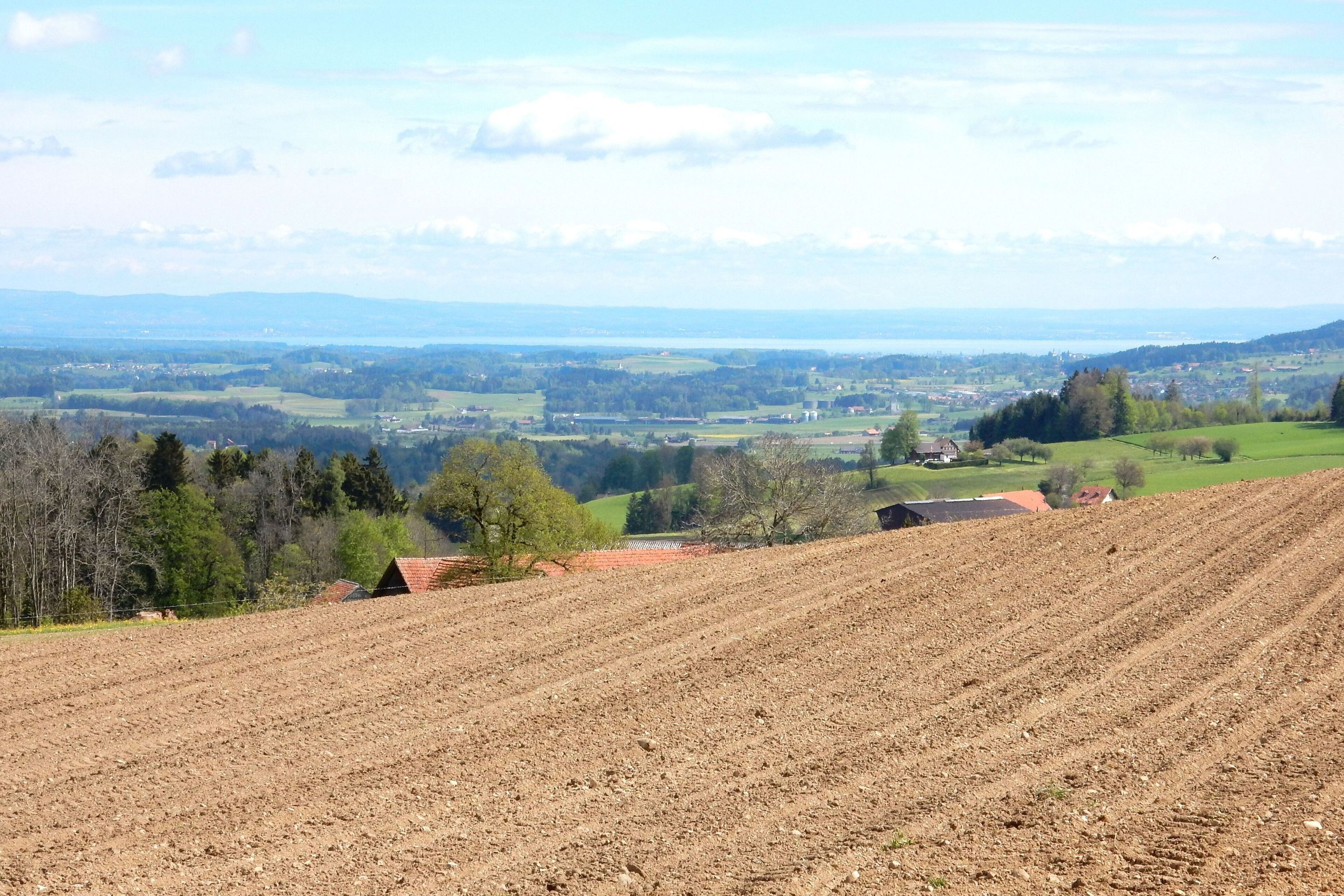 Hotel Wolfensberg – immagine