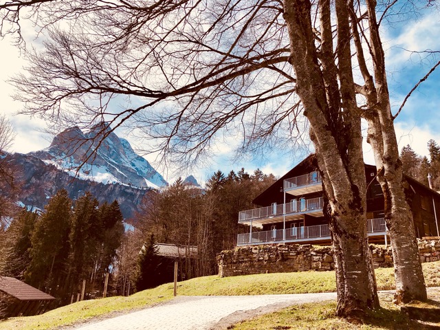 Chalet Waldhaus Nr. 187 (ctd_46f6374_summer)