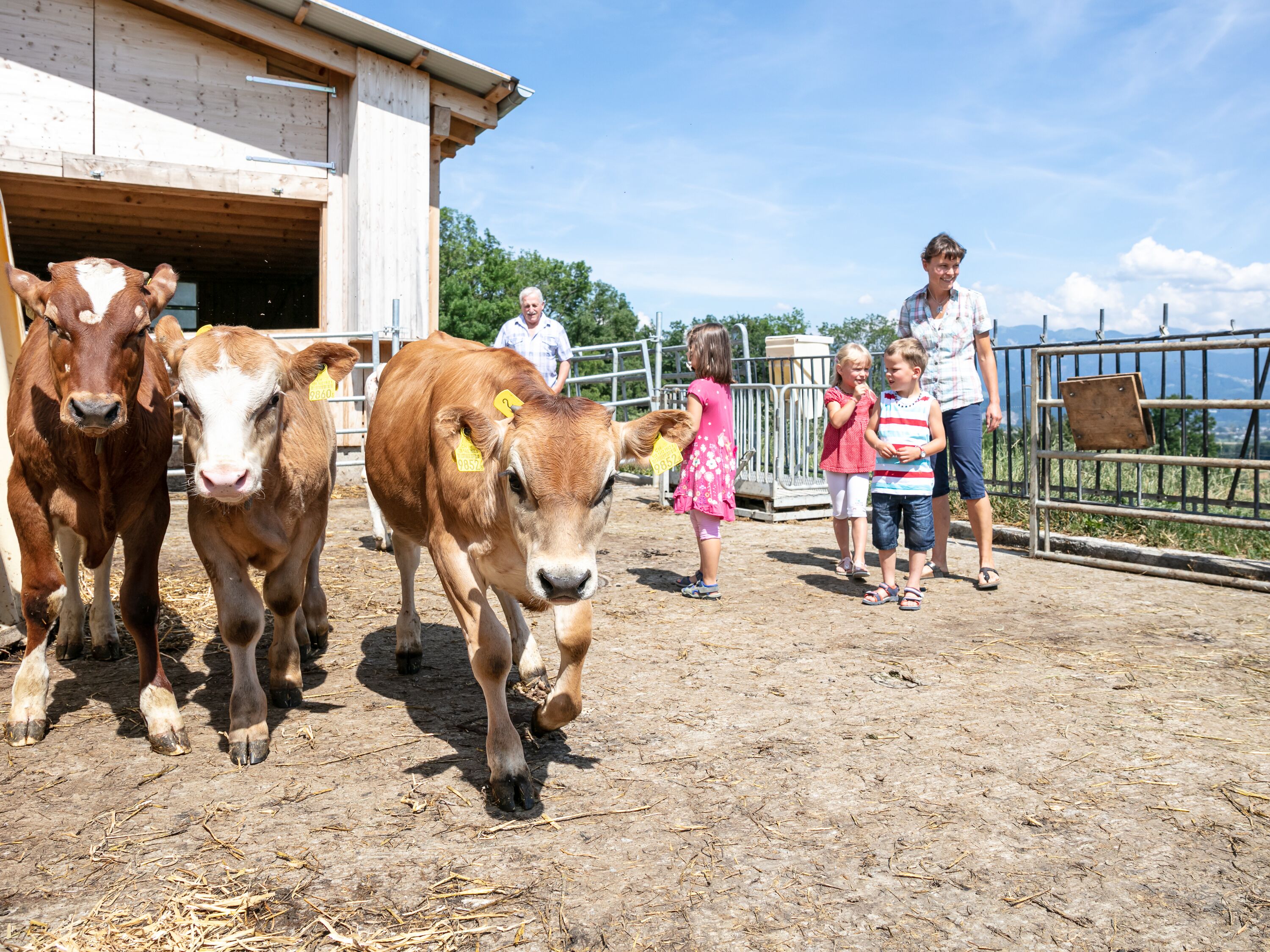 School on the farm