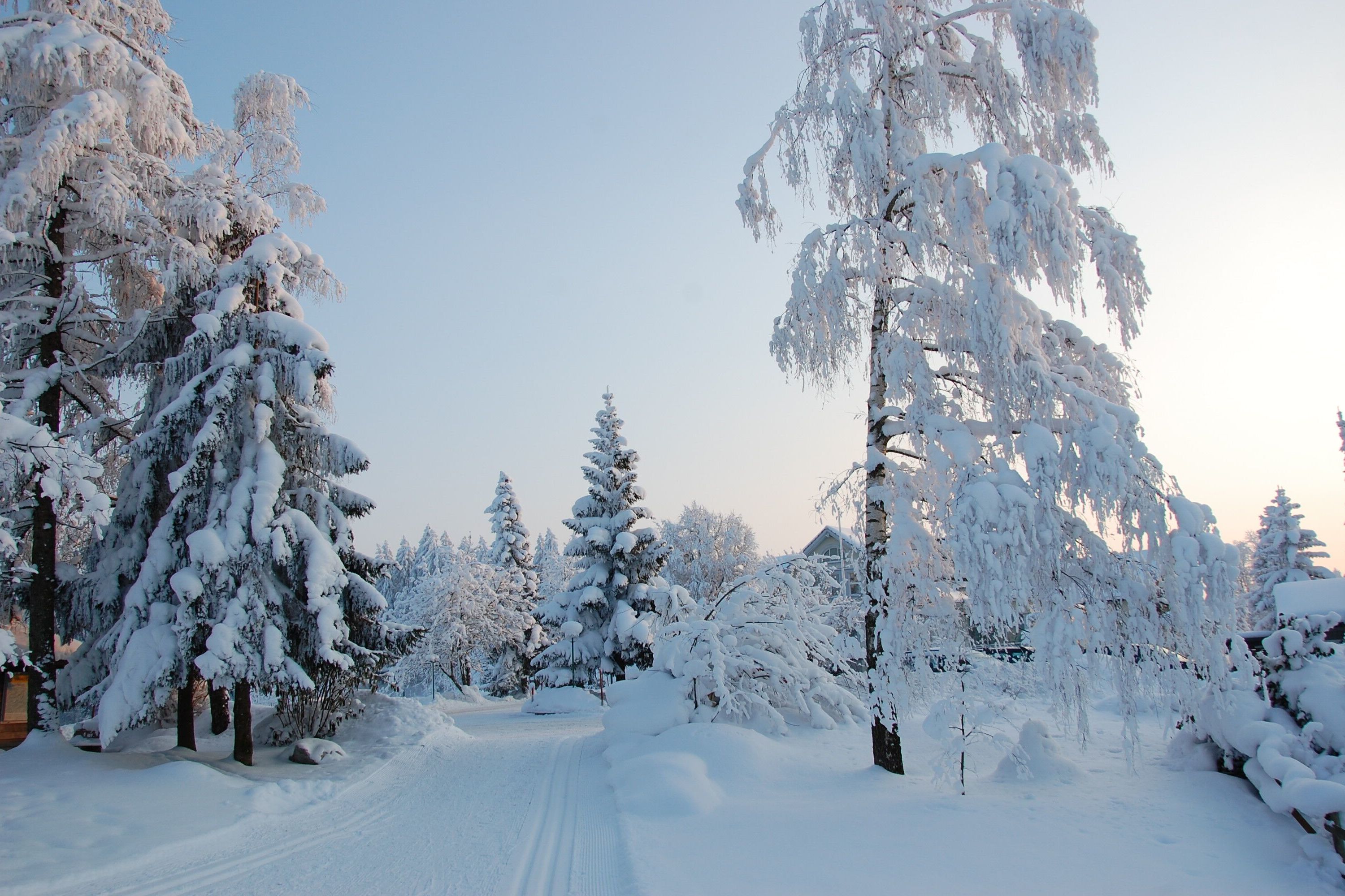 Hotel Wolfensberg – immagine