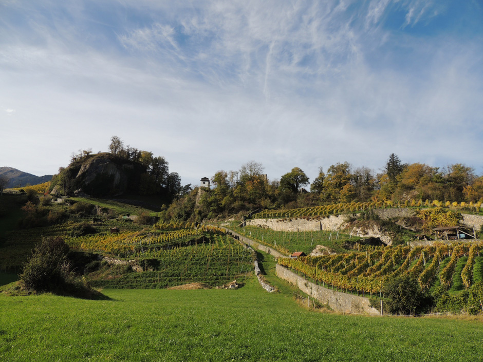 Weingut Portaser