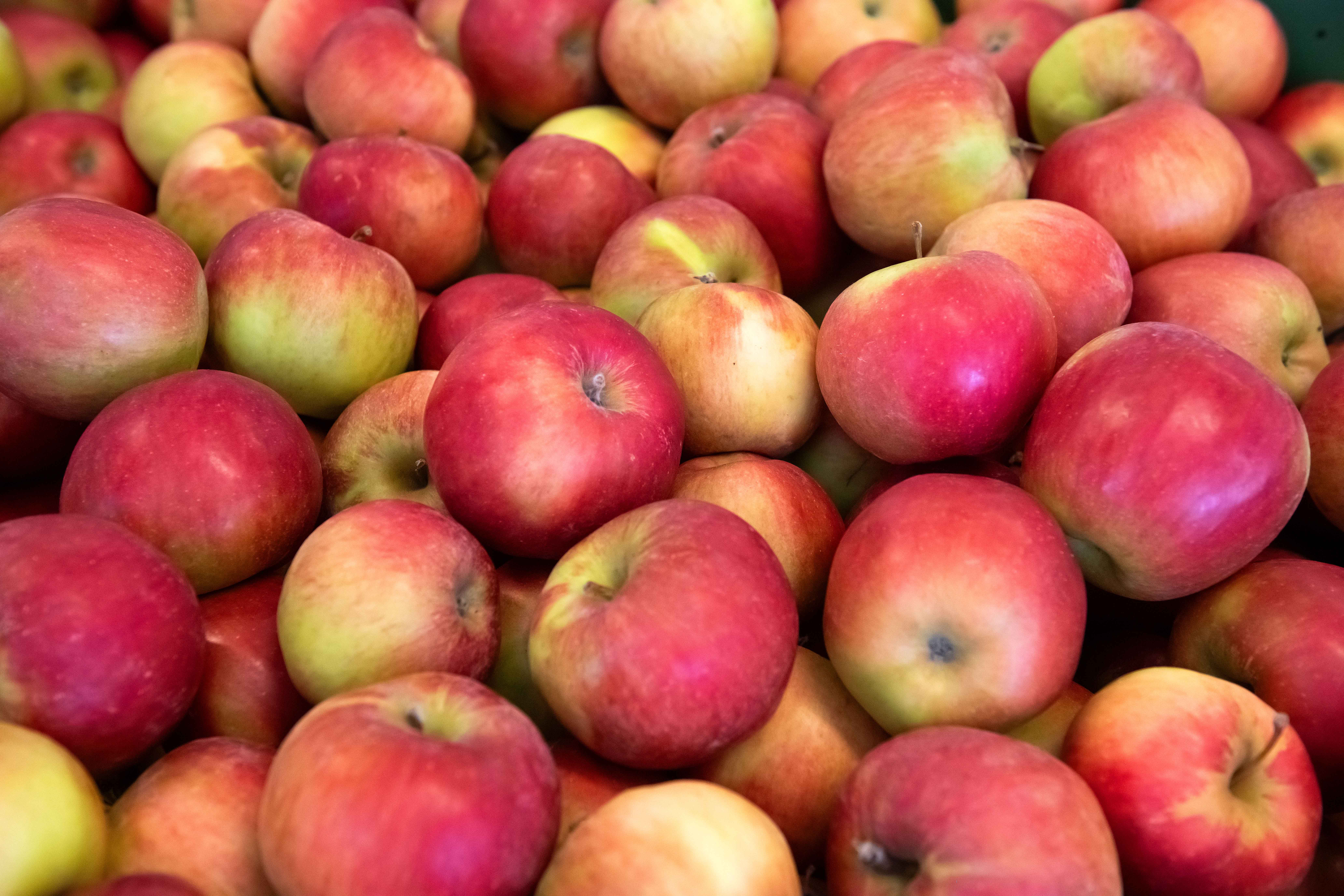 Farm shop Obstbau Heinzelmann