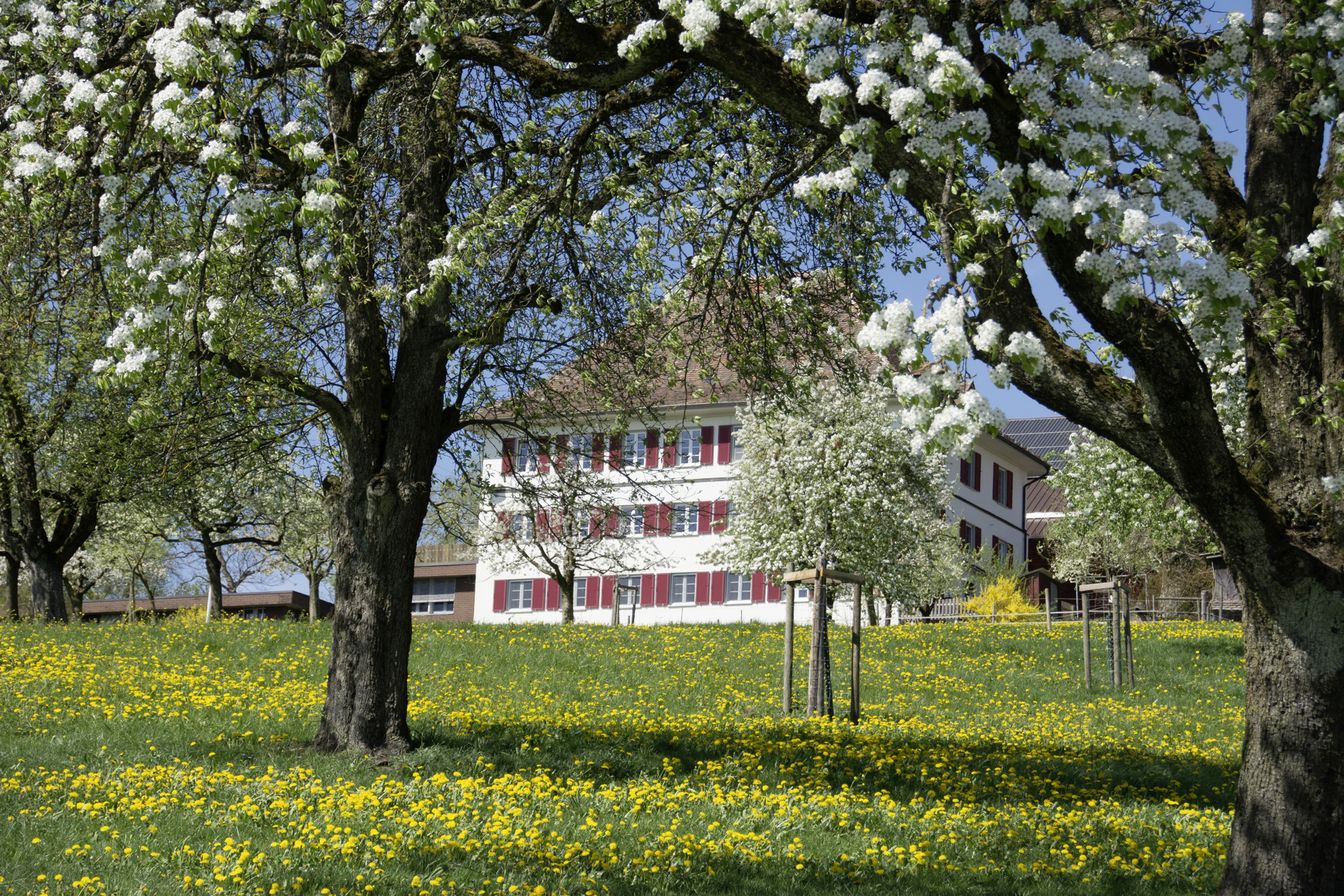 Berghof (ctd_92ce7fb_image)