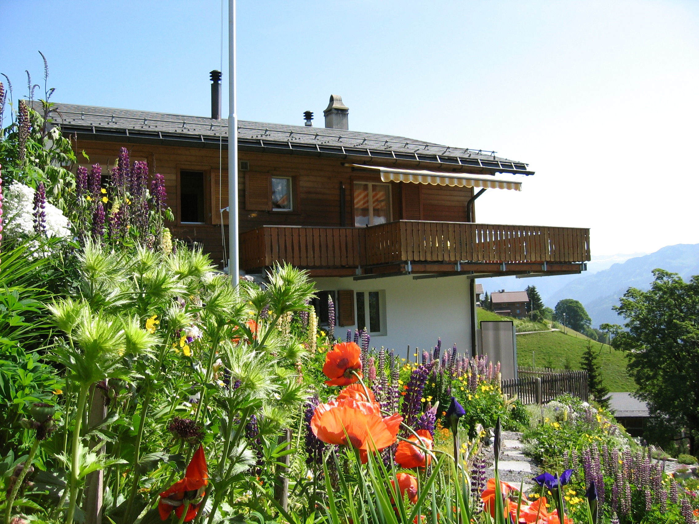 Chalet Abendruh Nr. 67, Braunwald
