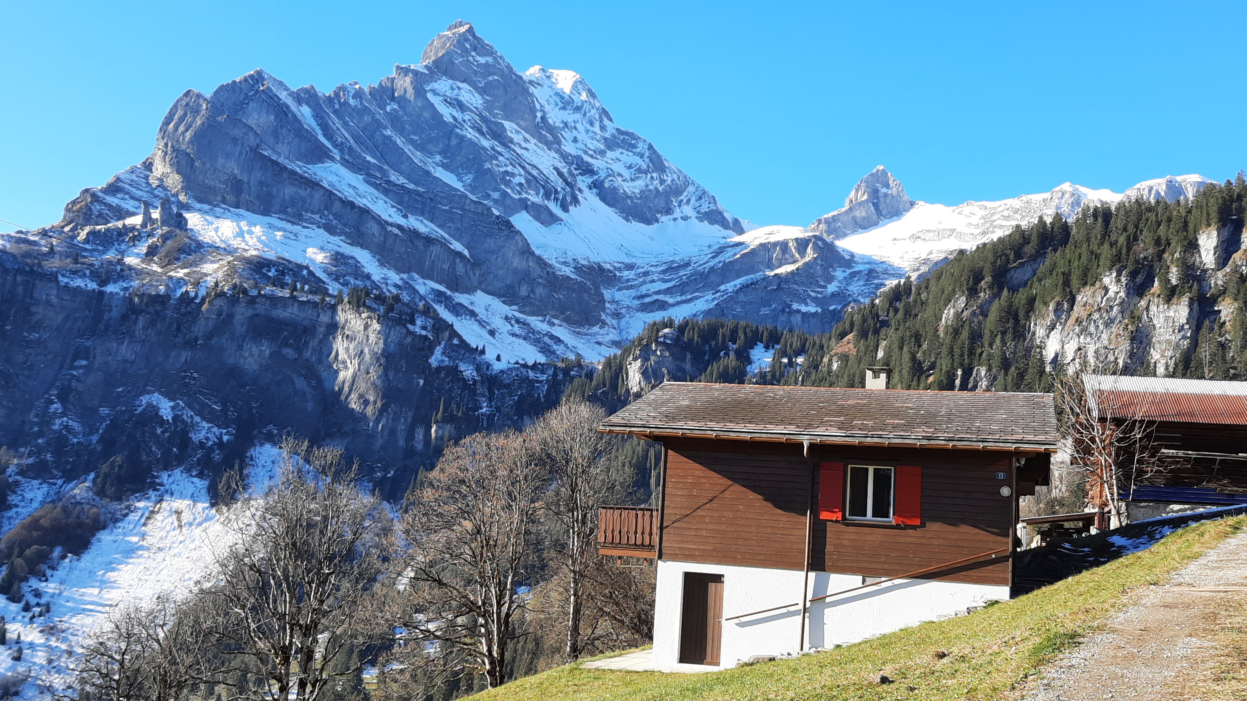 Chalet Meta Nr. 150 (ctd_35c8864_summer)