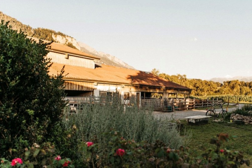 Spargelhof Risch