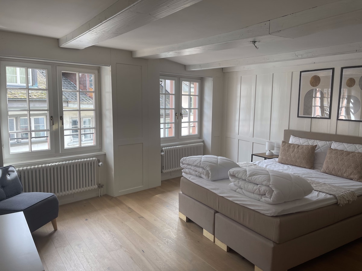 The R Apartment Bodensee, Schaffhausen