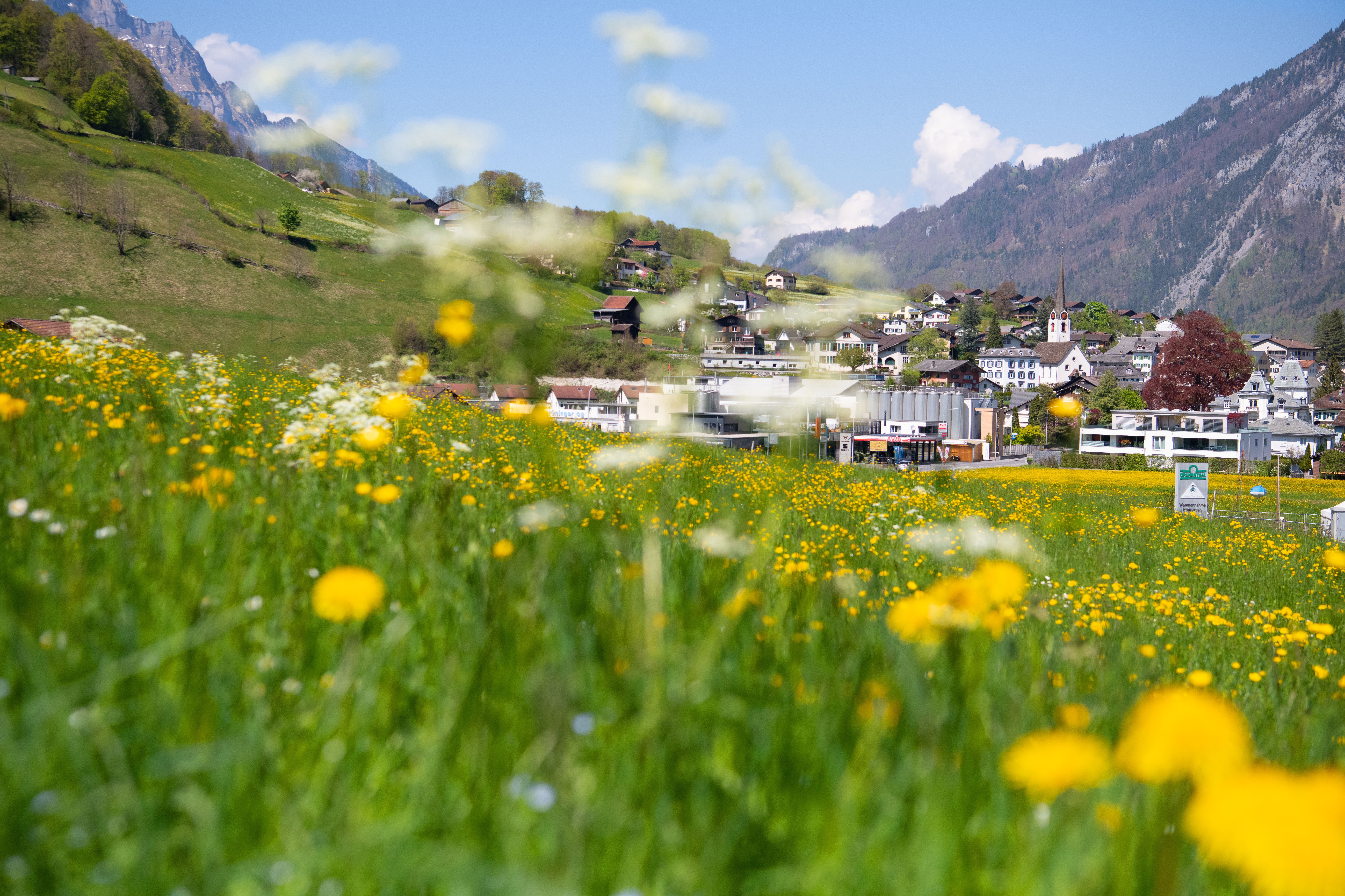 6cb7711af0fe4a645ffbdbf4ddd4ec1cab5663a0_Fruehling_im_Glarnerland_MRH_DSC_0262.jpg