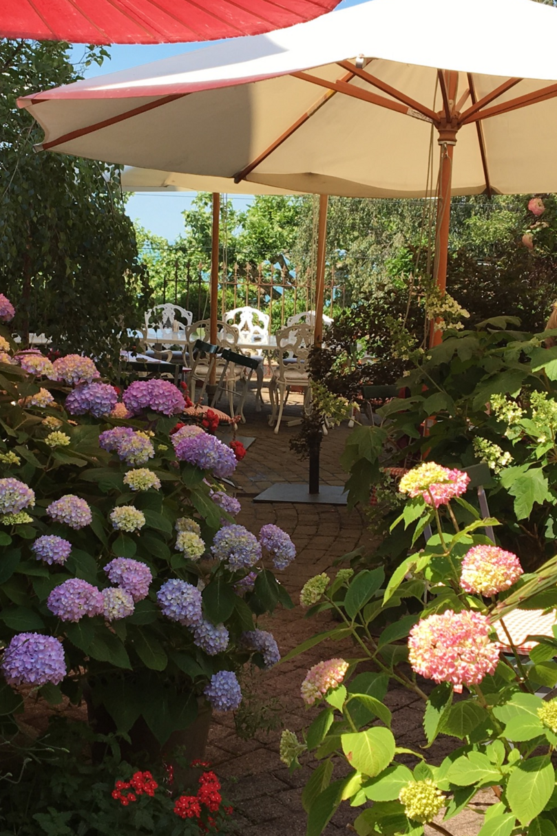 Hotel Café Mozart Rorschach – immagine