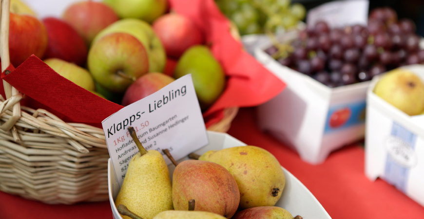 Hedinger's Öpfelparadies