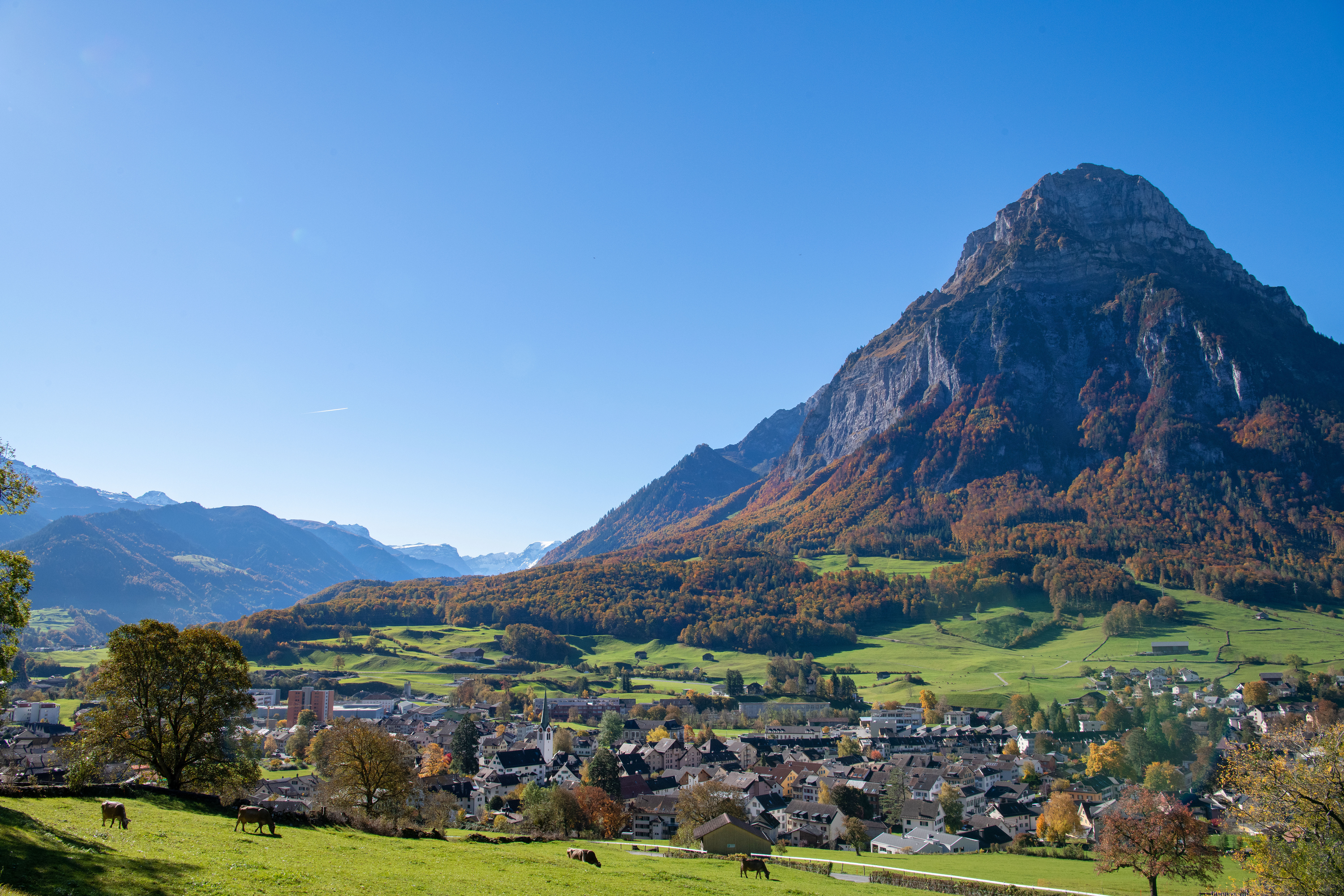 7b005465d086fcfab559c5b7ba2f57822f2ead47_Herbst_2021_MRH_DSC_3466.jpg