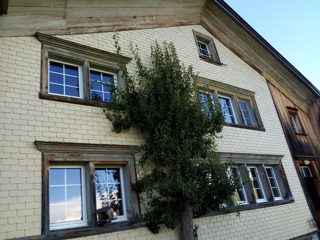 Ferienhaus Brand, Gais