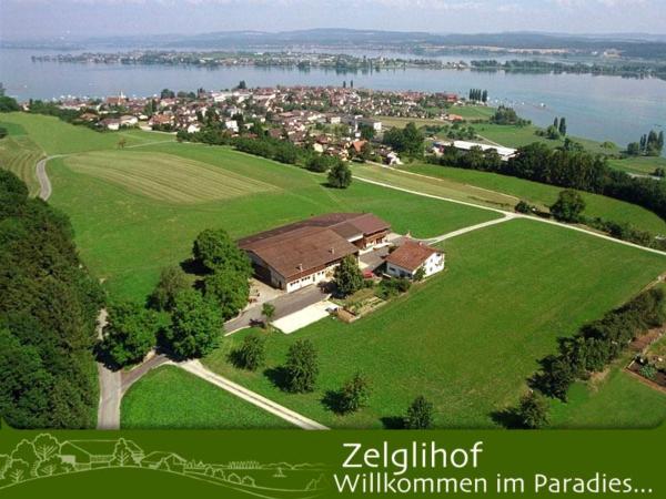 Zelglihof