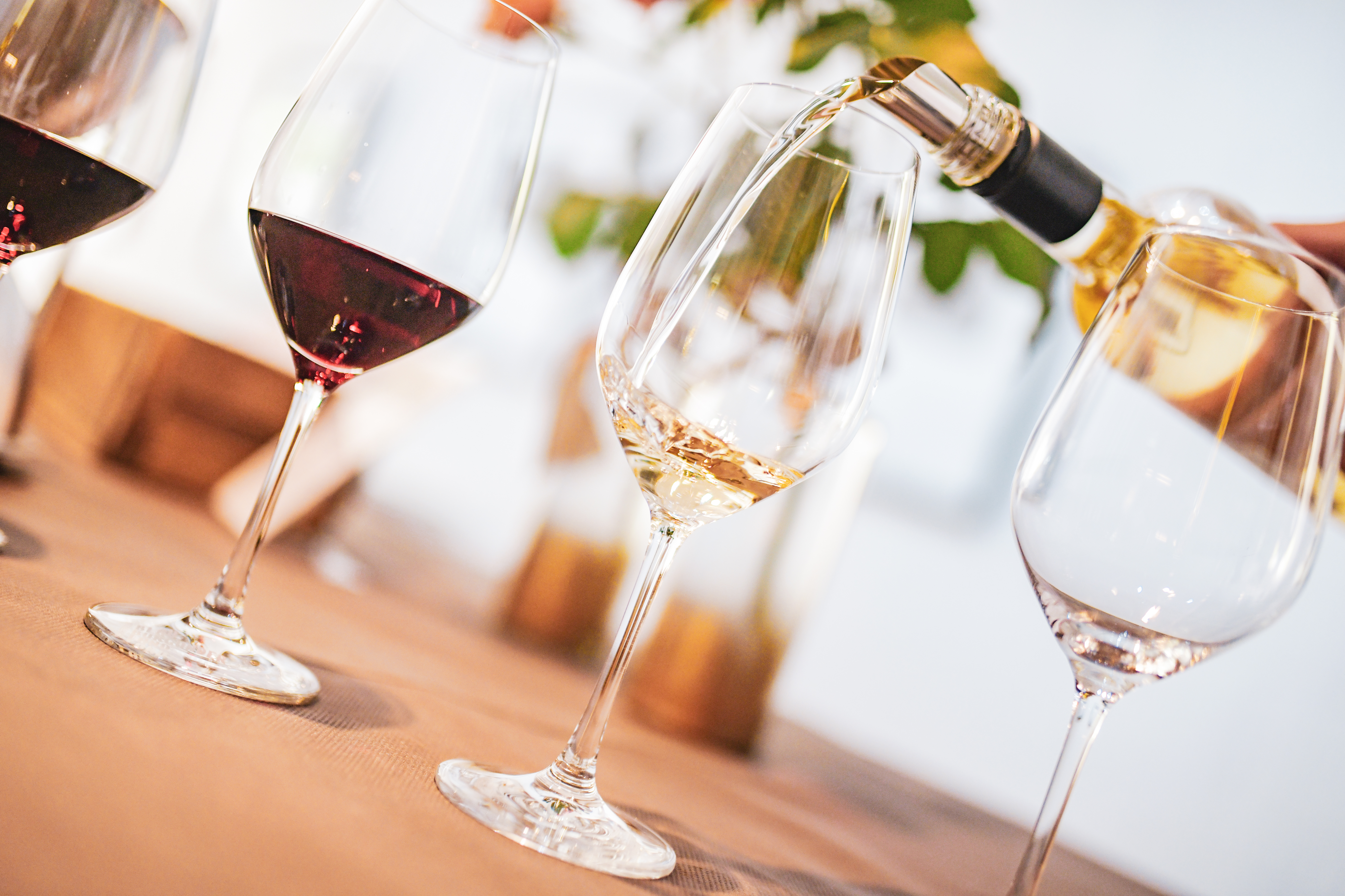 Degustazione di vini presso il produttore del parco naturale