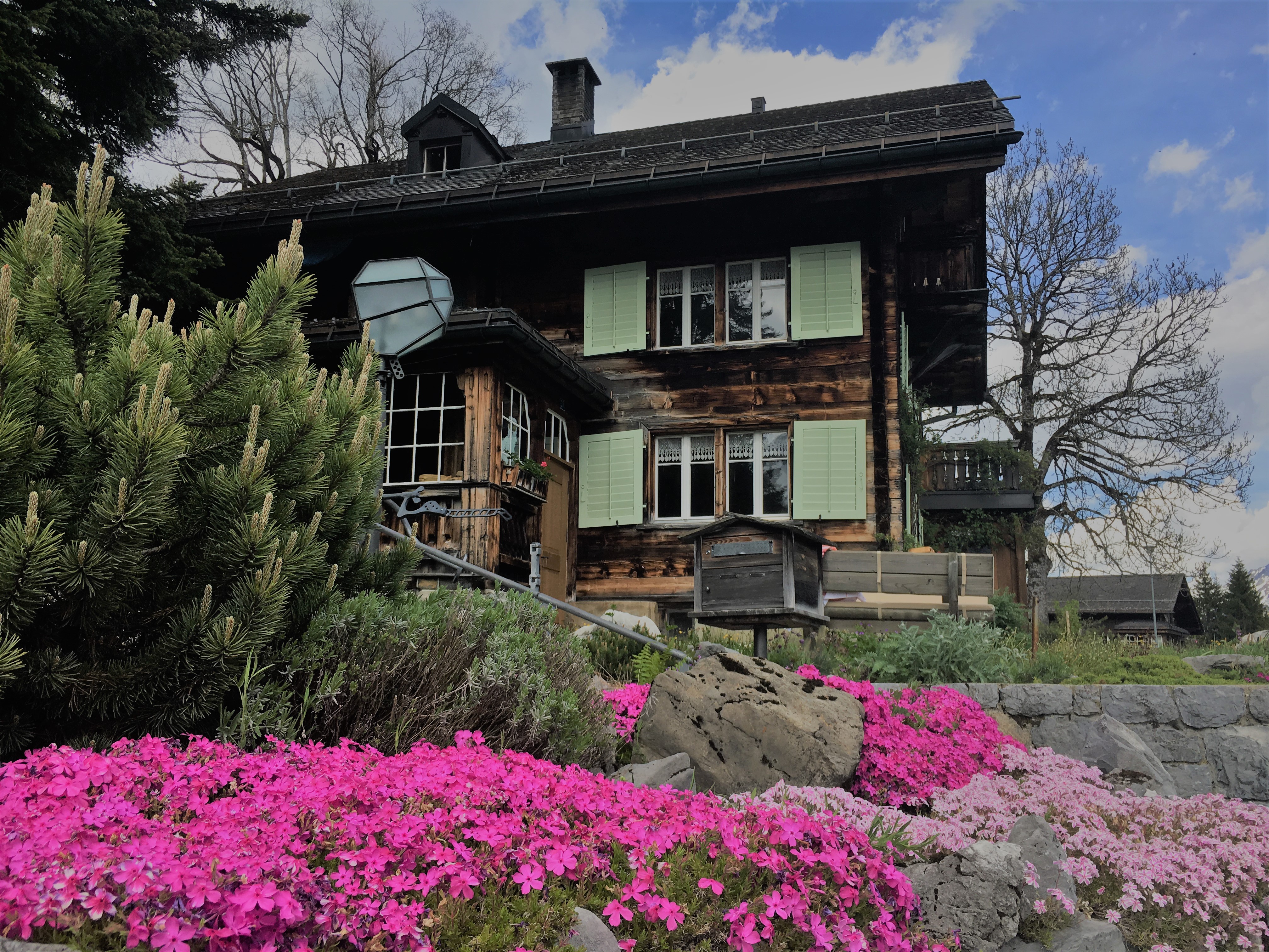 Chalet Morgenberg Nr. 111 (ctd_5fb058d_summer)