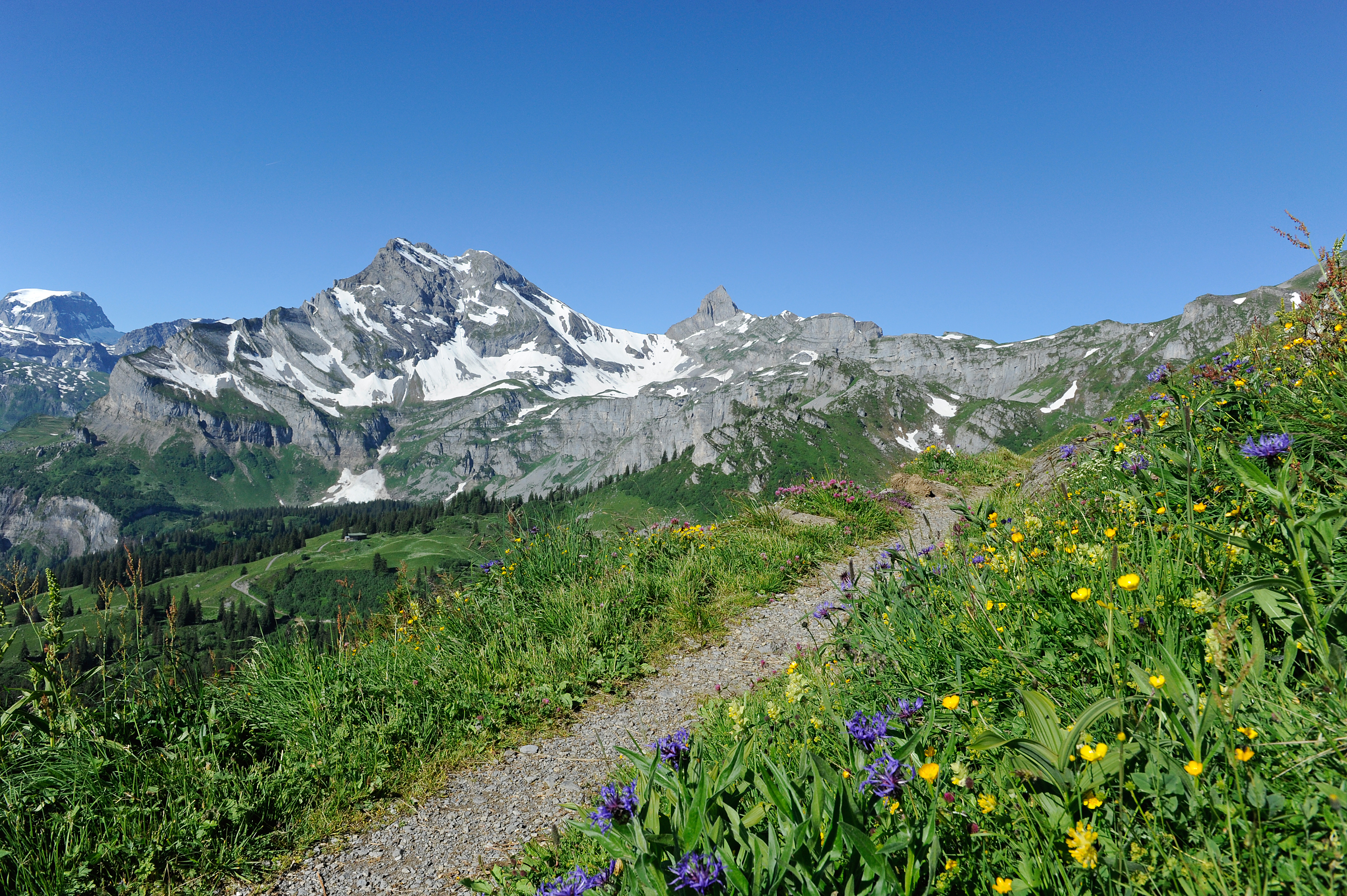Sackbergstrasse 4, Braunwald (ctd_3f1ce71_image)