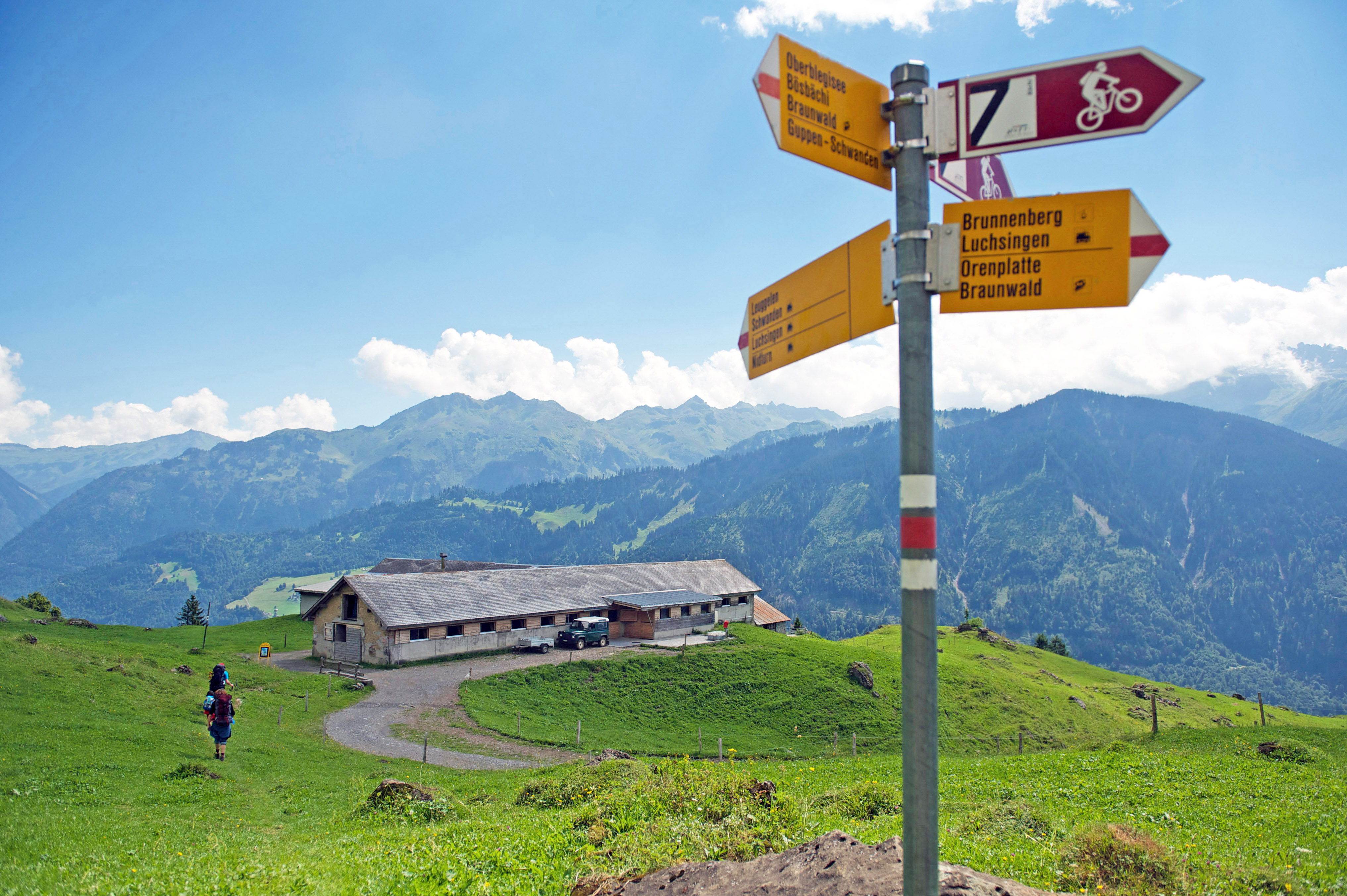 Beizli Alp Oberblegi (ctd_6a99f4e_summer)