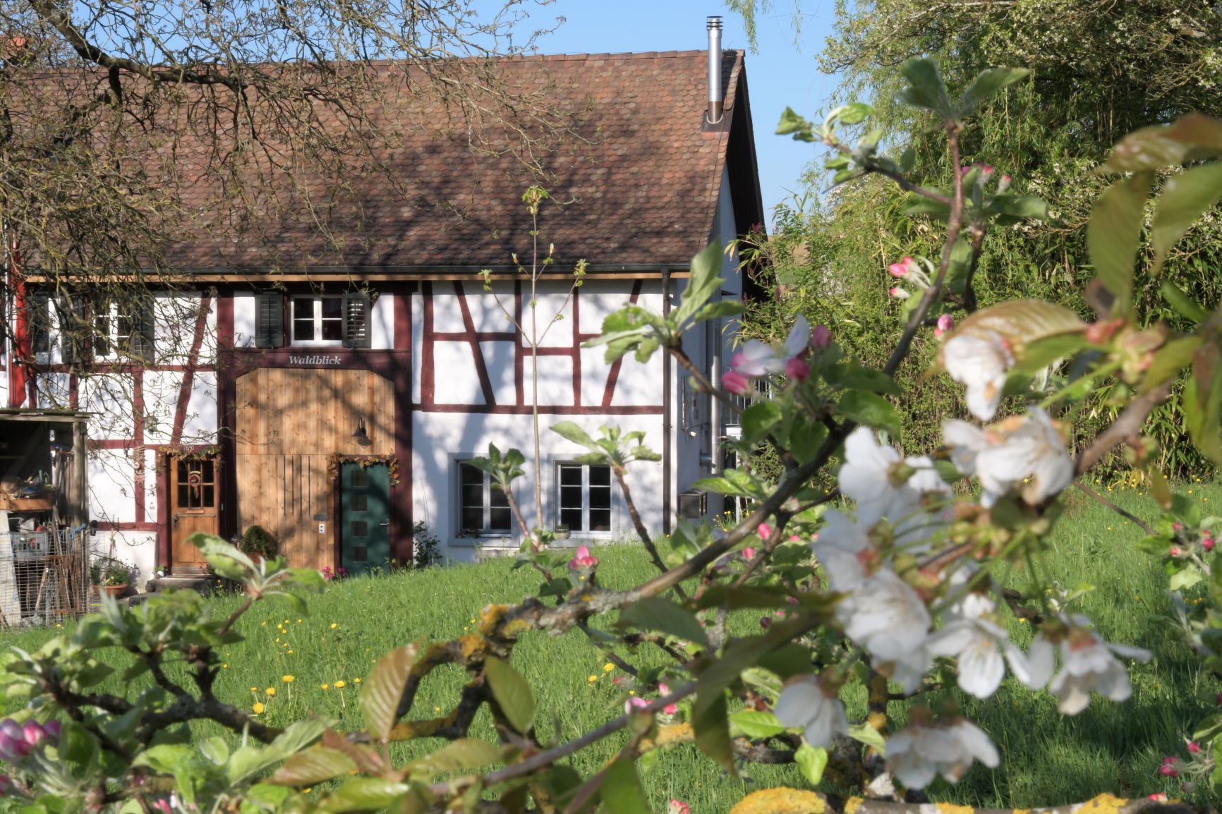 Ferienwohnung Waldblick (ctd_1b43307_image)