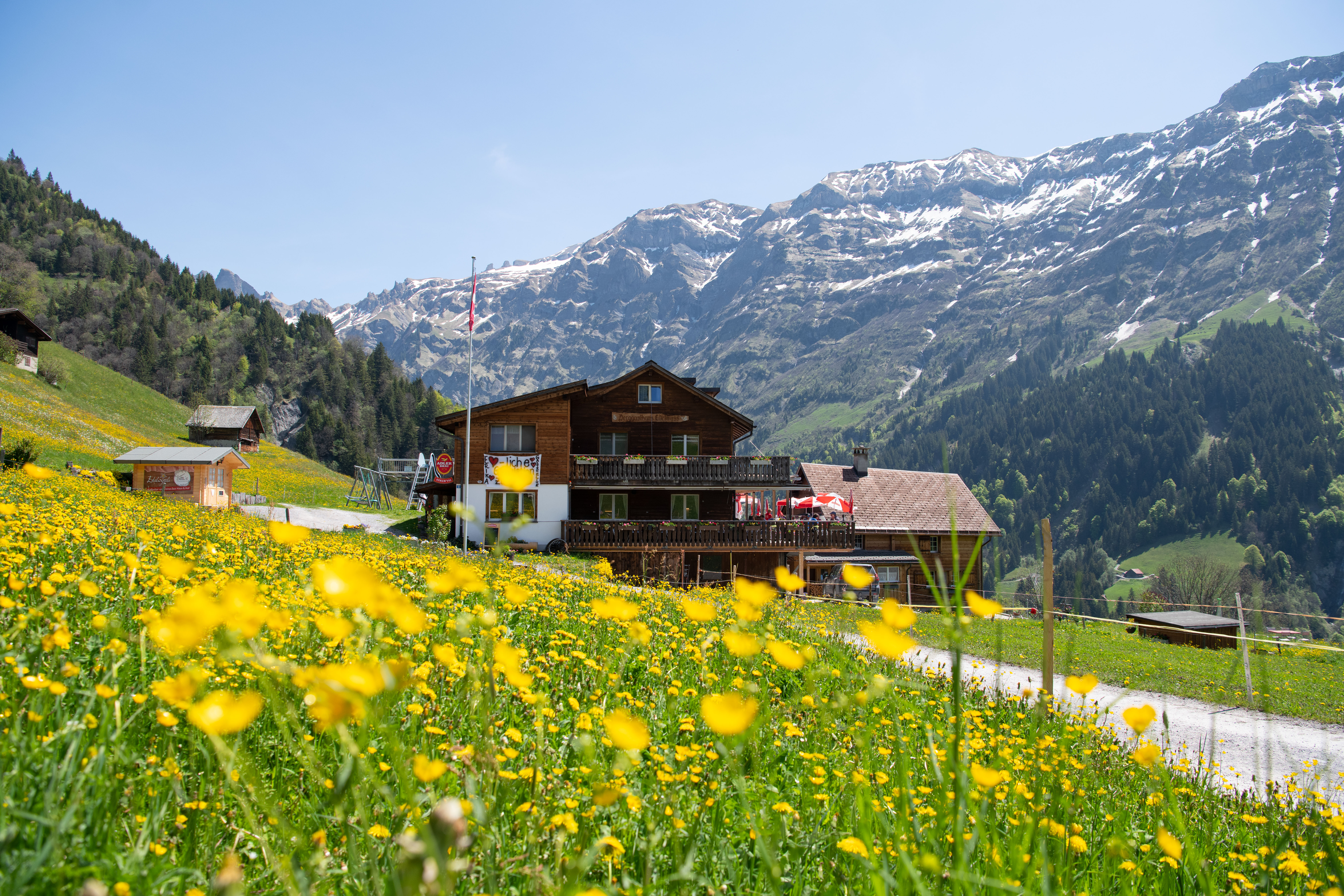 Berggasthaus Edelwyss, Matt
