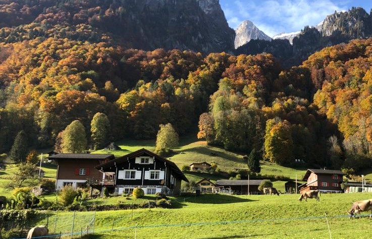 Doppelzimmer in Chalet mit herrlicher Tödi-Sicht (ctd_d0c0071_summer)