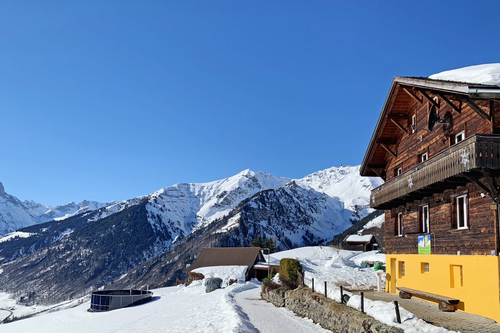 Haus Bergheim Weissenberge, Matt