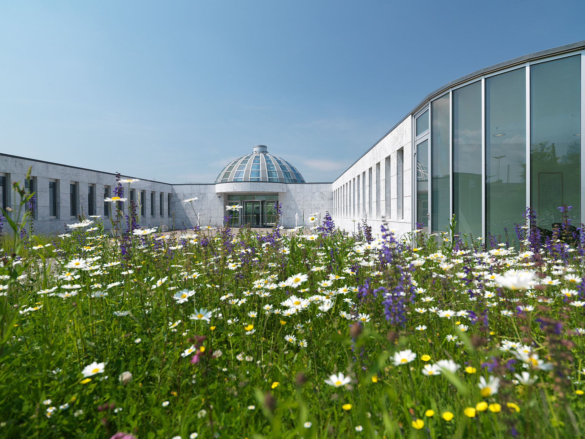 Weiterbildungszentrum Holzweid – immagine