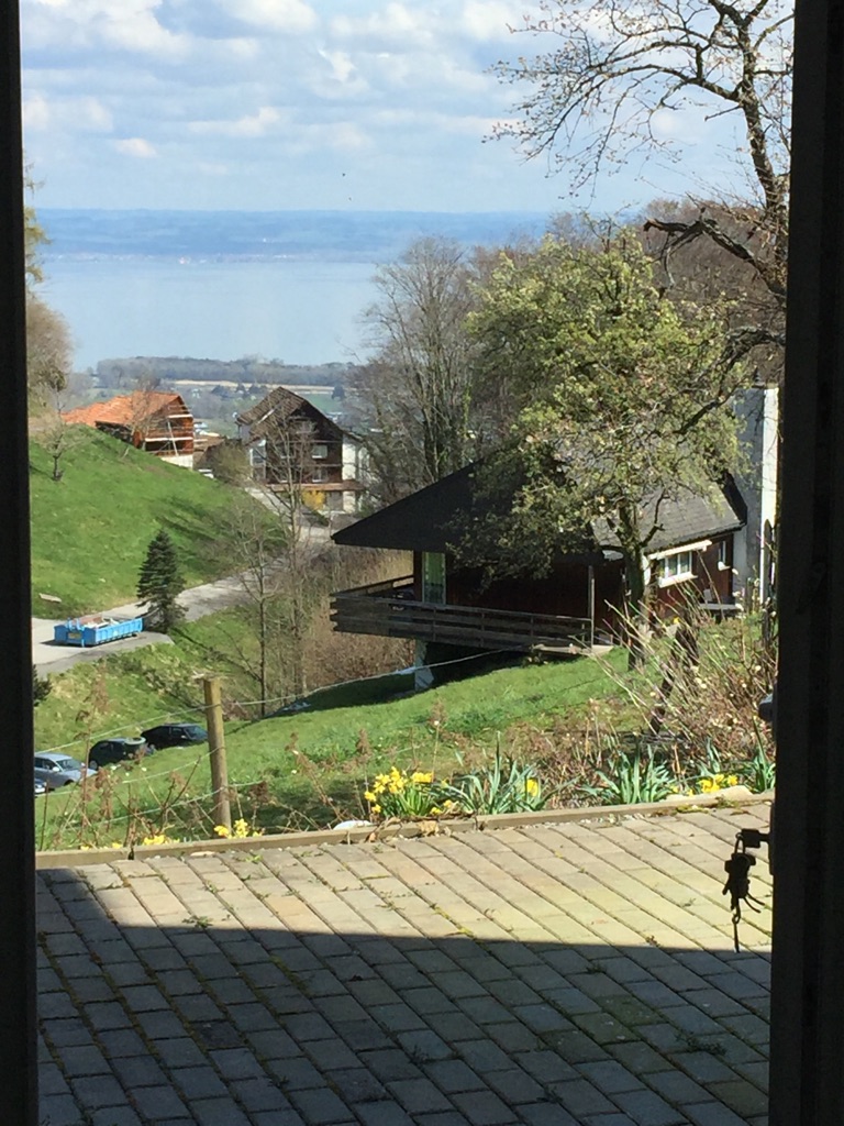 Ferienwohnung Wienacht-Tobel (ctd_9531ee1_image)