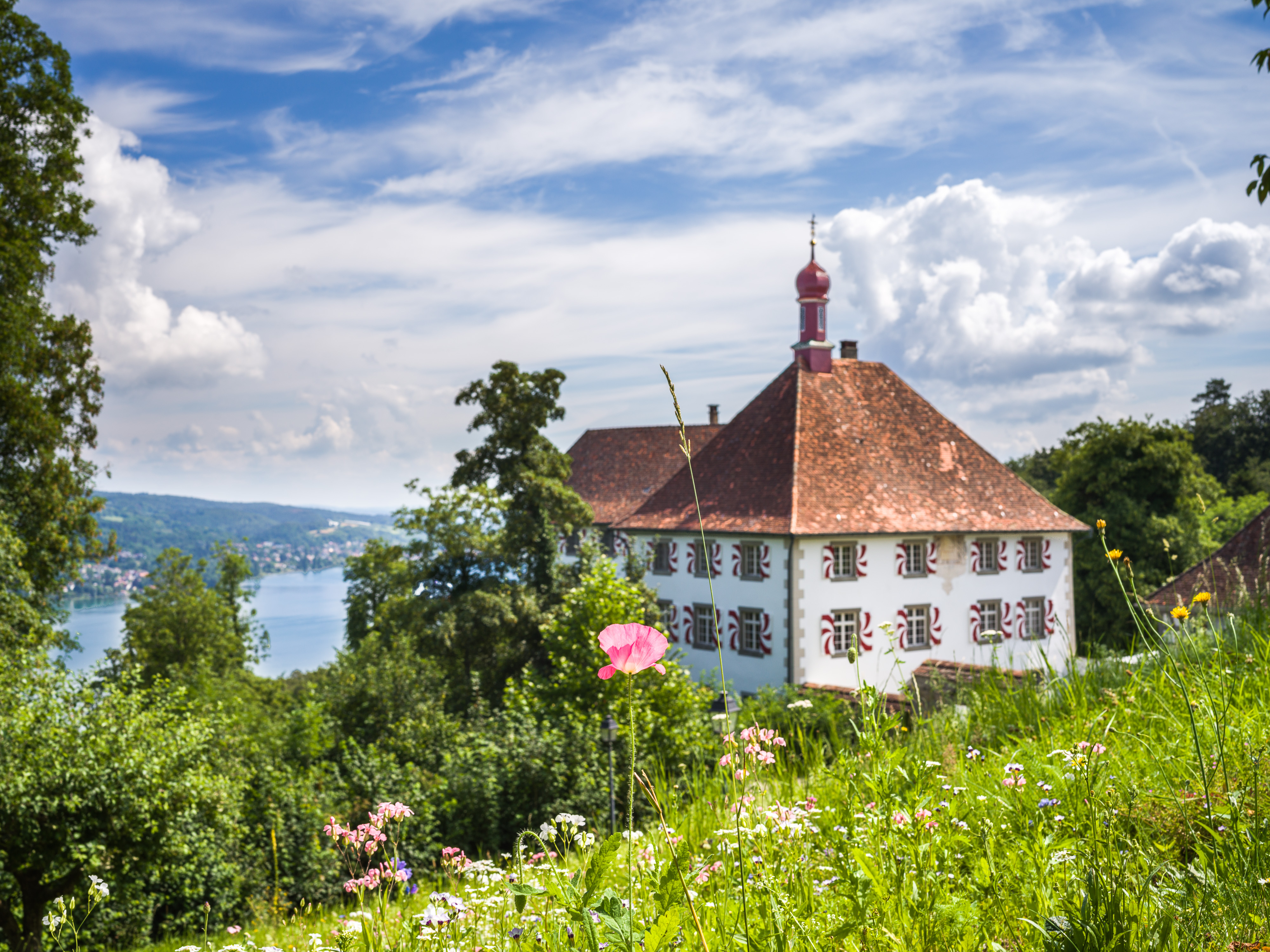 Schloss Freudenfels – Bild