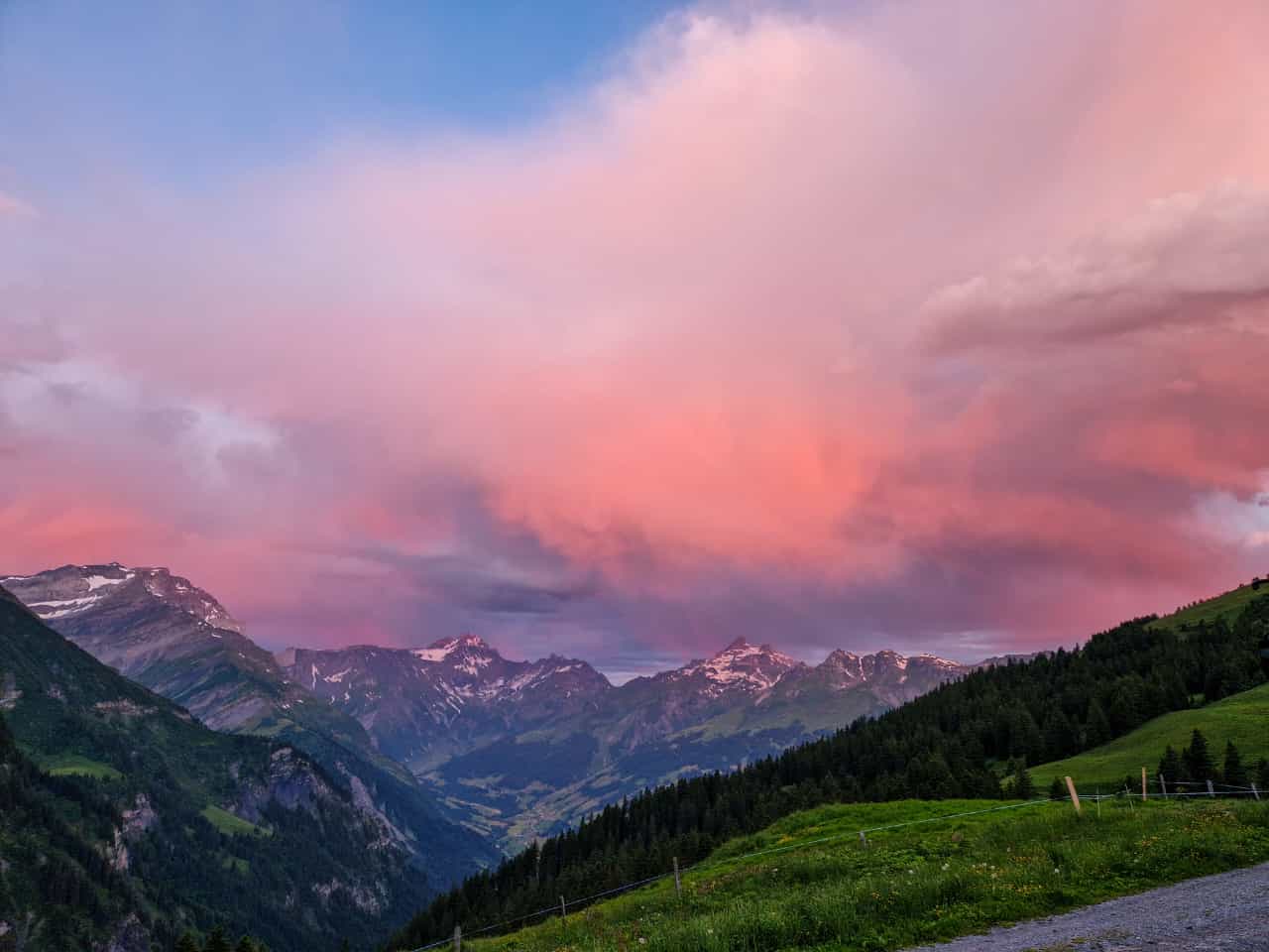 Beizli Alp Ramin, Elm