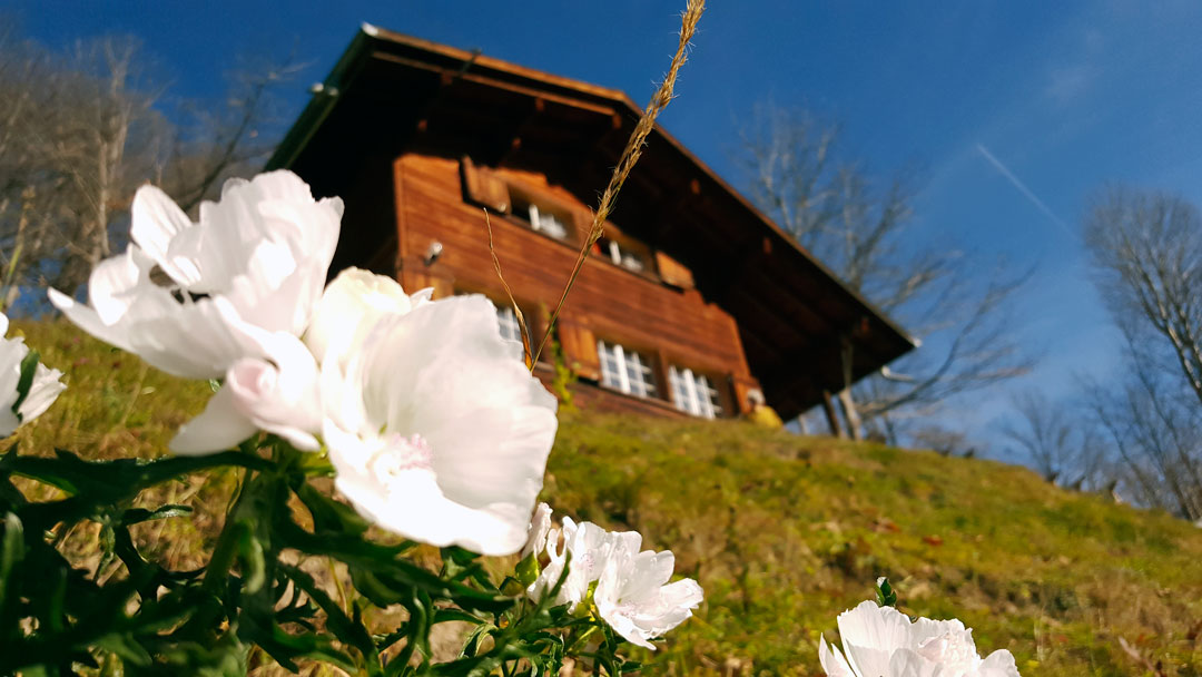 Ferienhaus Gfell Weissenberge, Matt