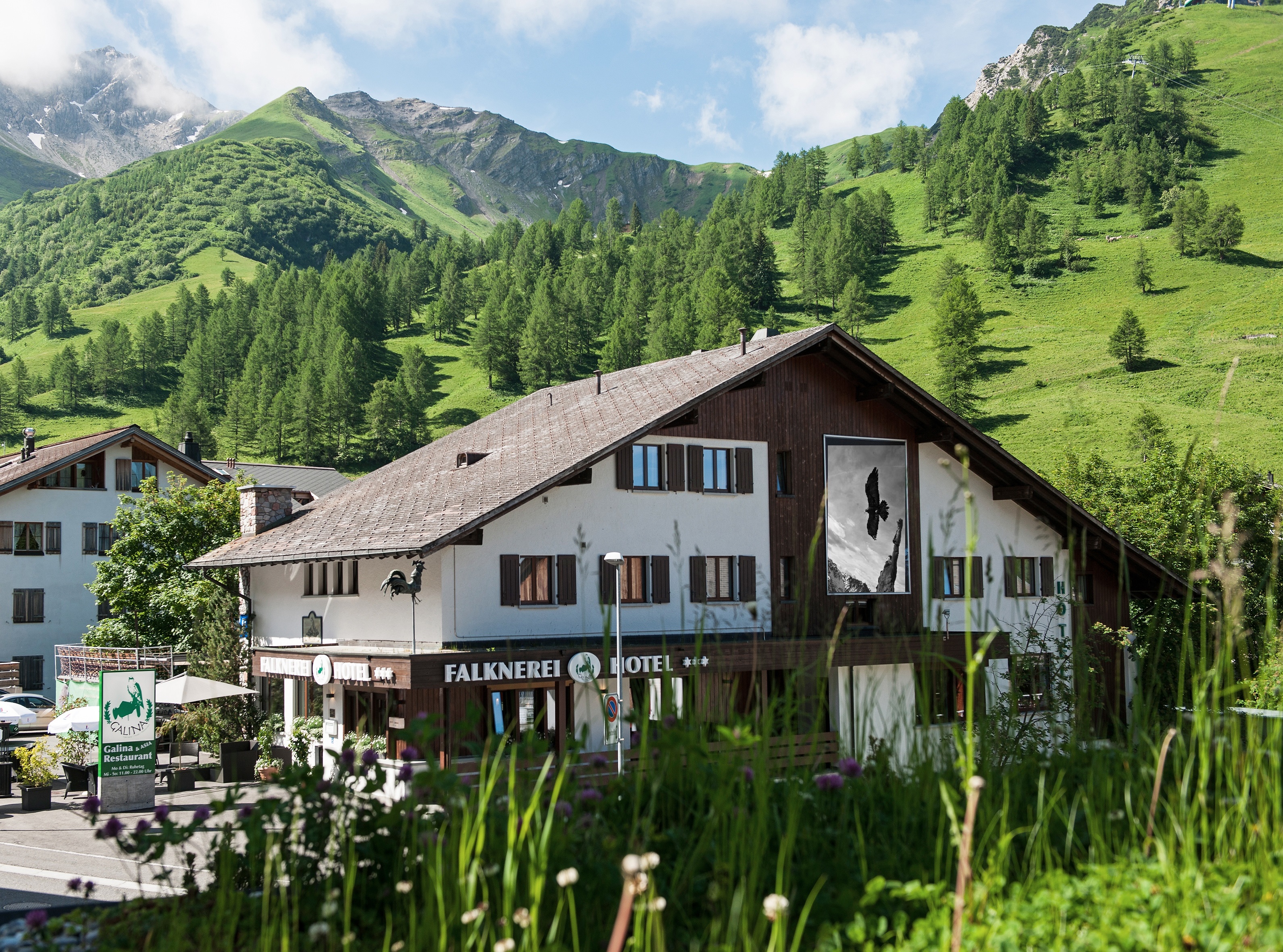 Hotel Falknerei Galina, Malbun