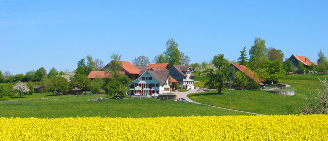 Bed & Breakfast Entetswil (ctd_3699866_image)
