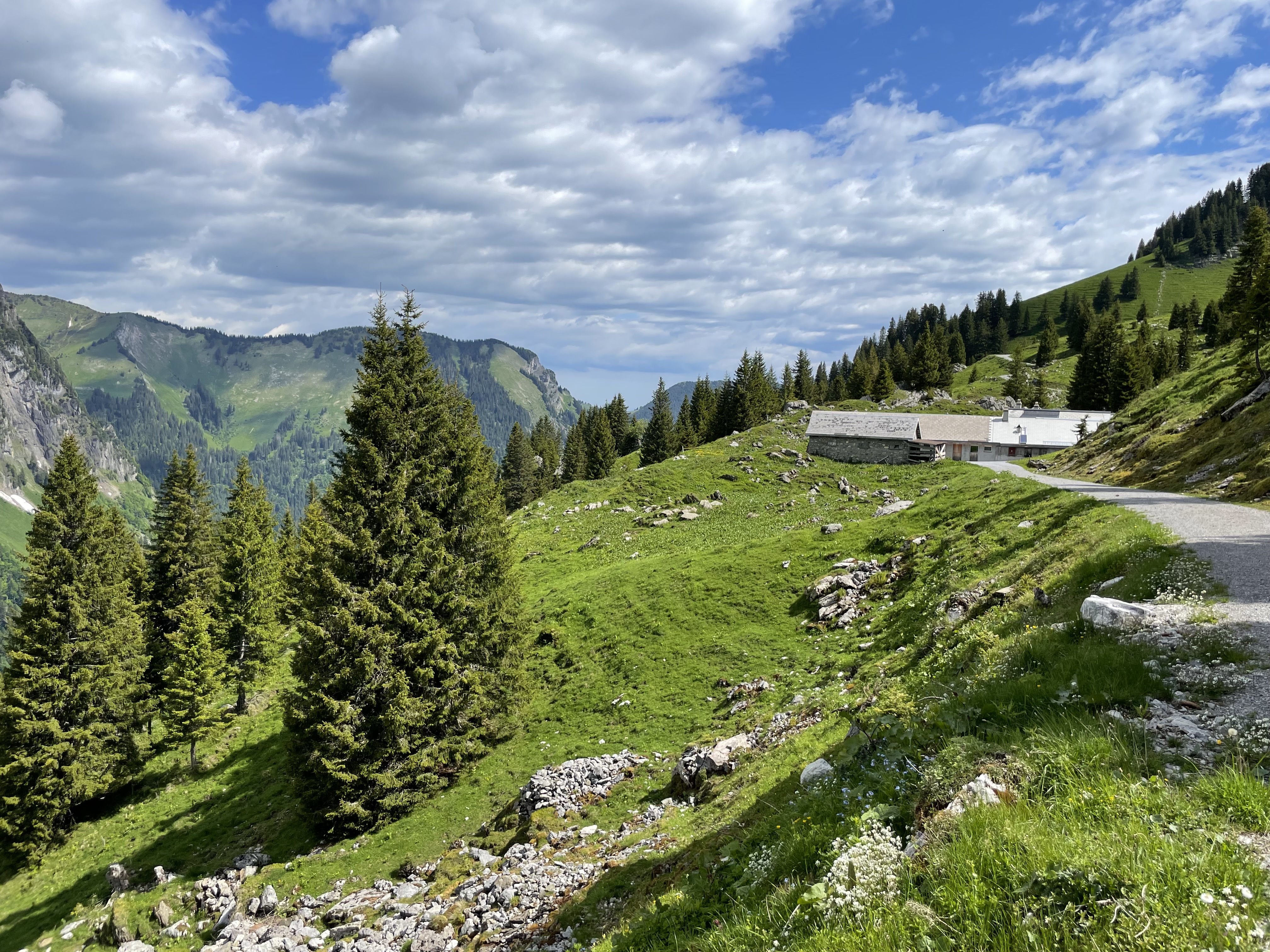 Übernachten auf der Alp Obersee-Rauti, Rautihüttli (ctd_03c7025_summer)