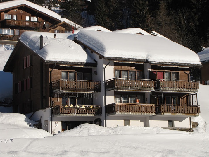 Ferienwohnung Sunnebüchel Nr. 21, Braunwald