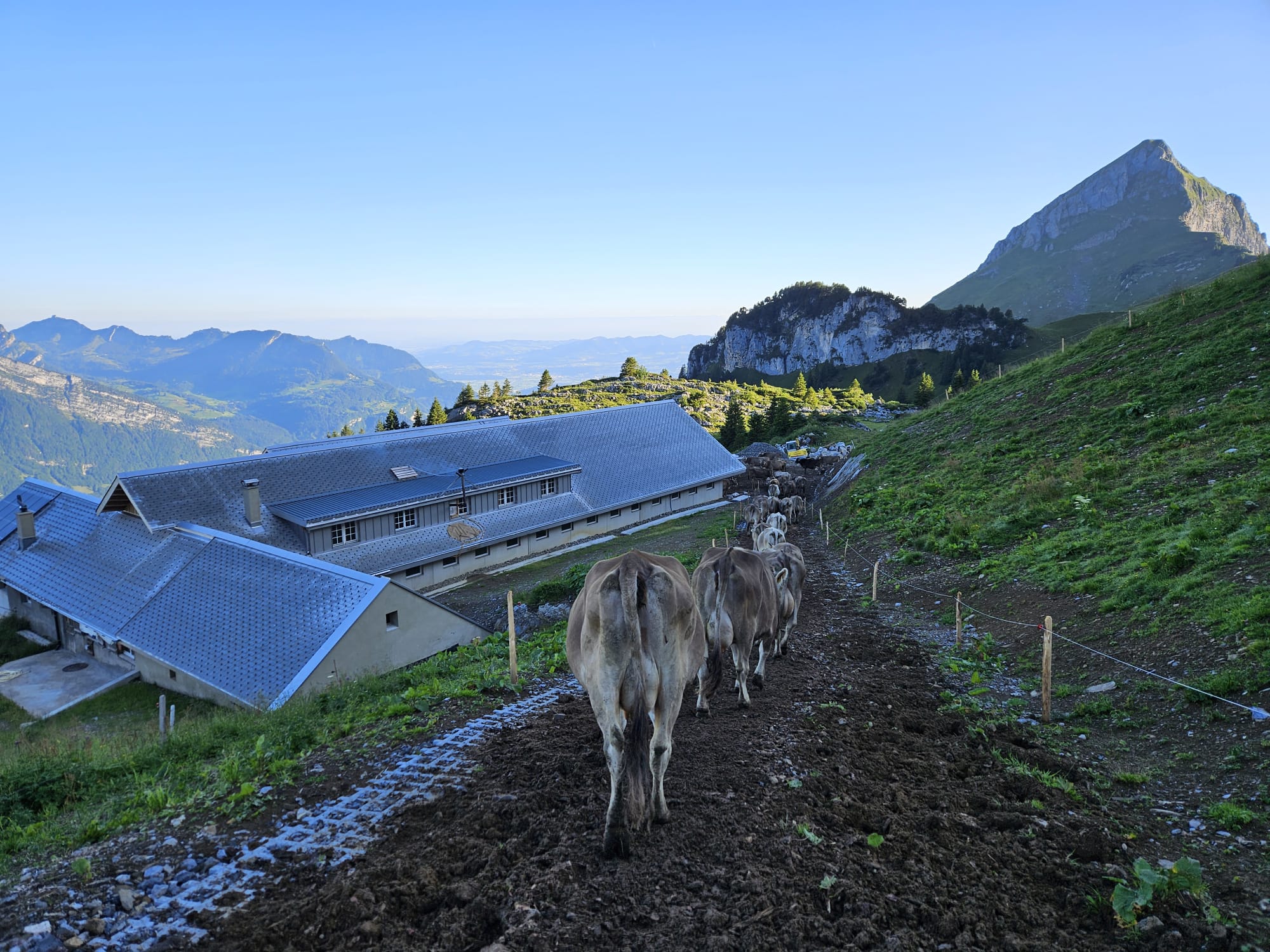 Die Alpfamilie Tschudi erzählt von der Alp Heuboden (ctd_9b00a8c_image)