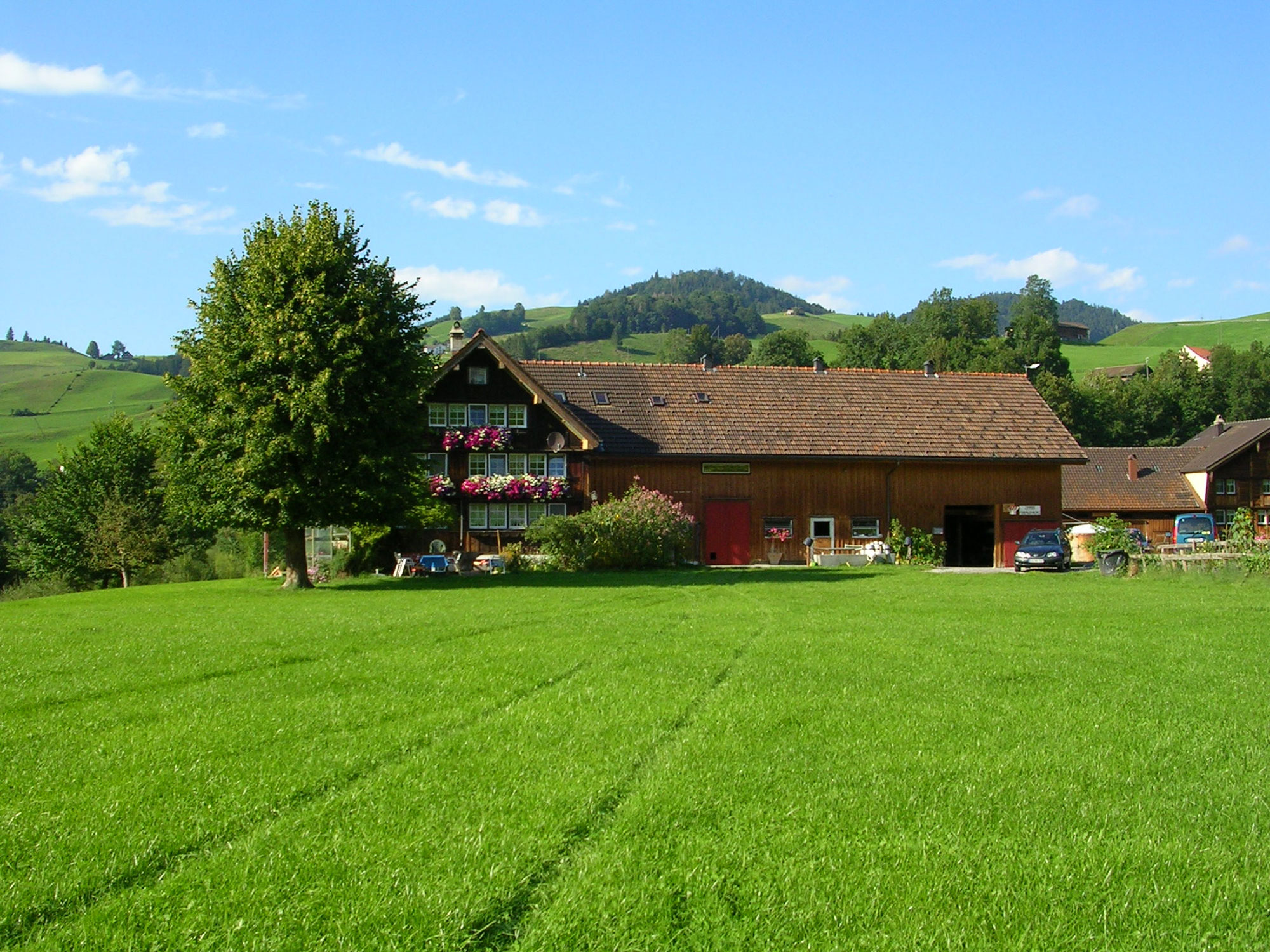 fd02ef690e9a48b45a6f7f005e43c42de26dea57_Rempfler_Alder_Aussenansicht.jpg
