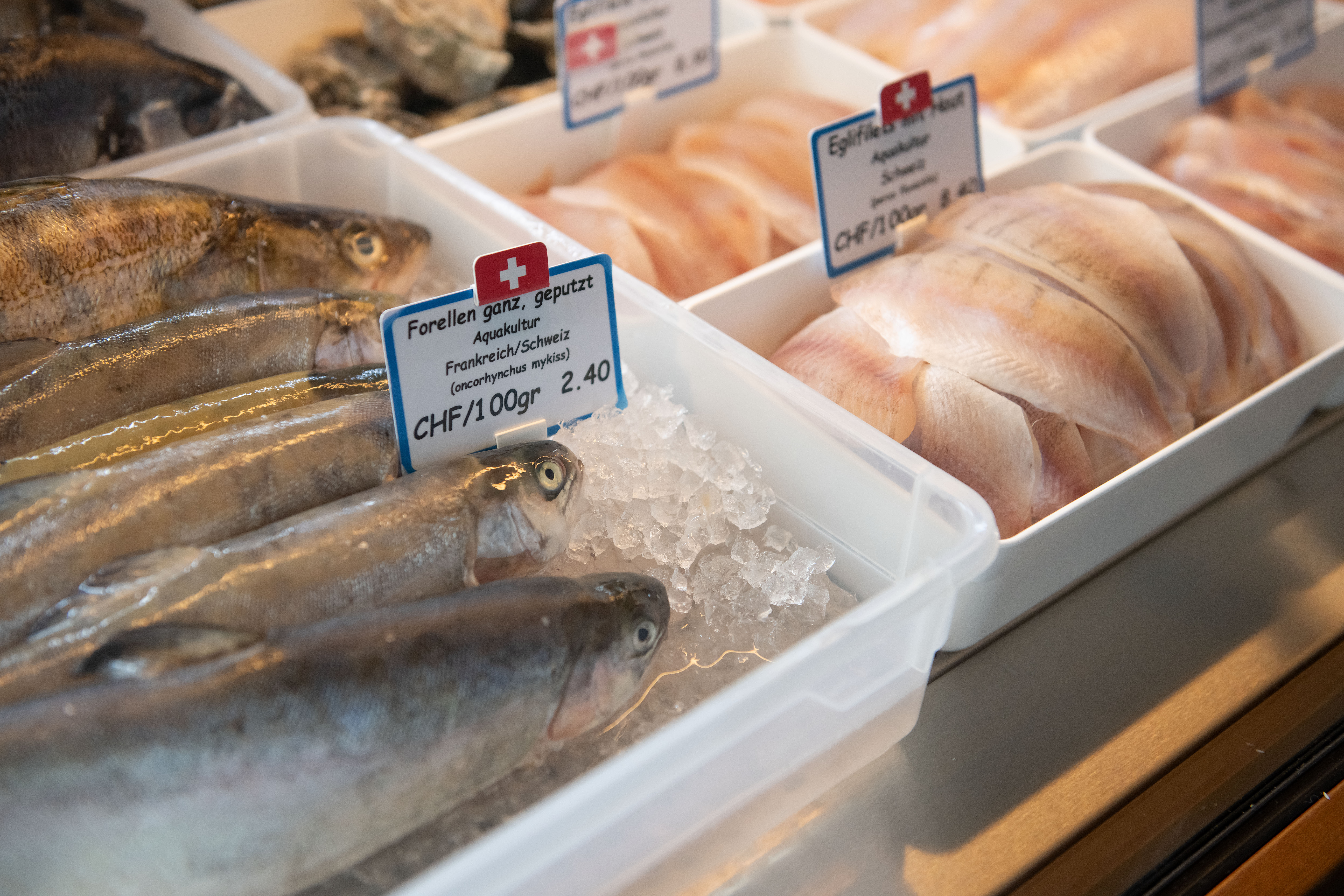 Fisch Zahner