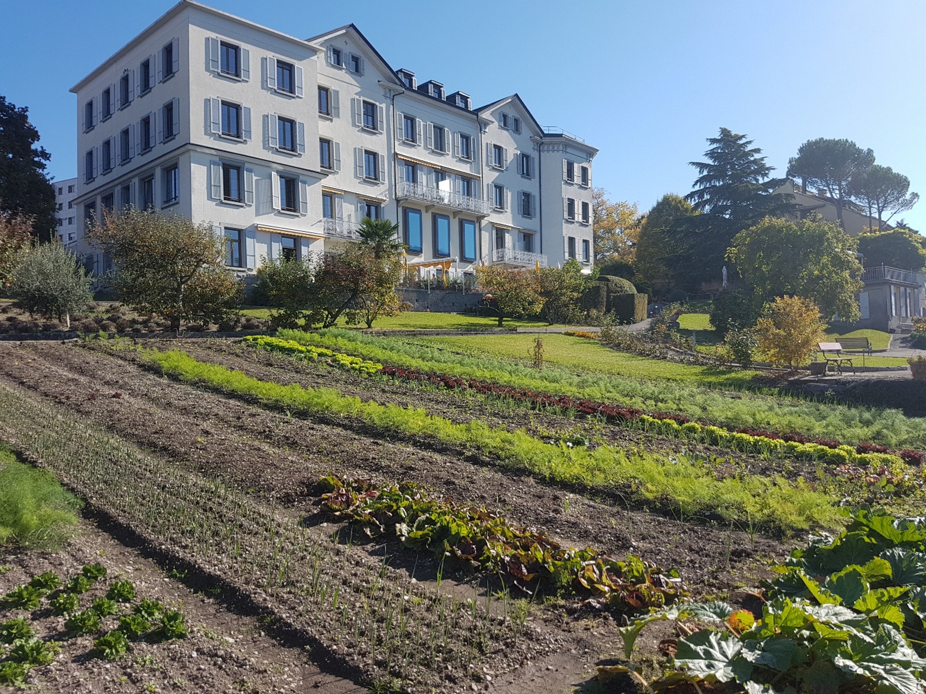 Hôtel Bon Rivage – Bild